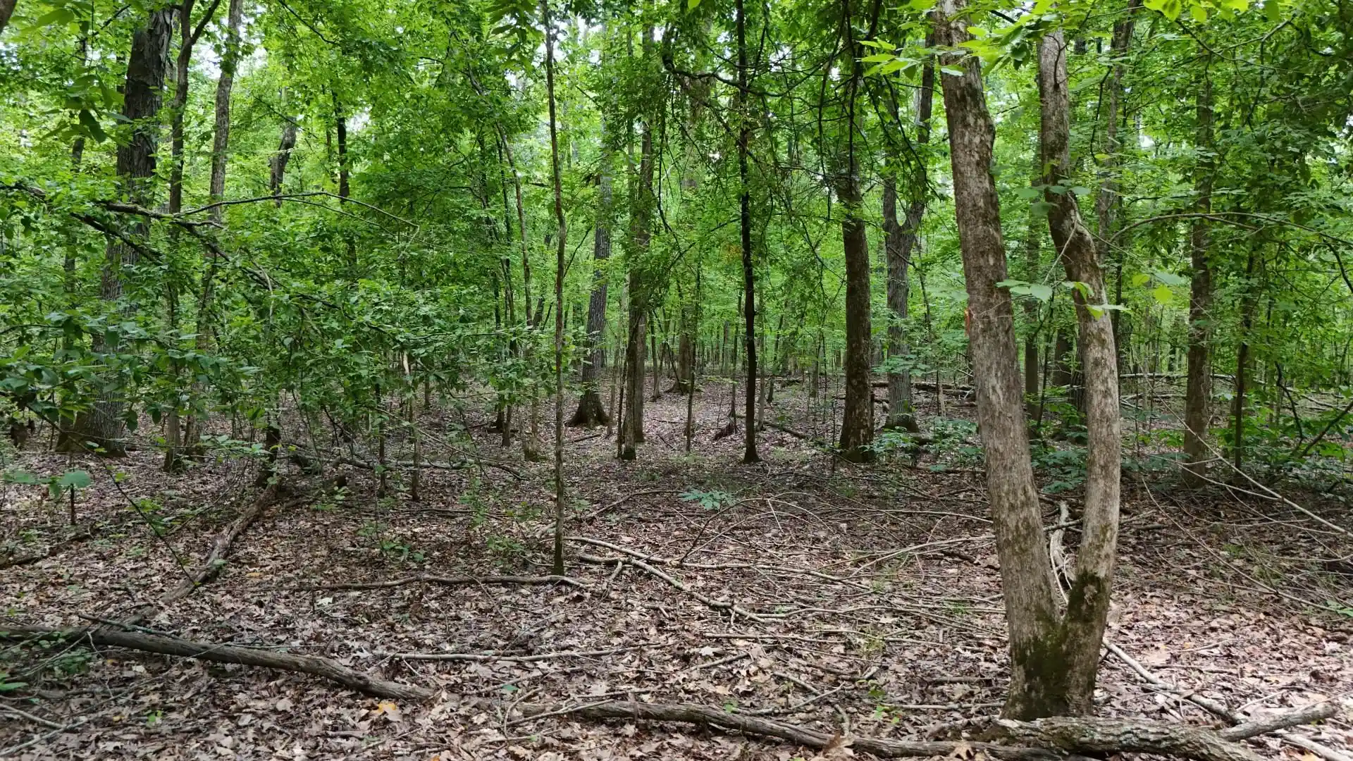 Photo 4 of Land for sale at 0 Blevins Dr, Guys, TN 38339 | MLS# 10228151 | Listing updated on 2026-09-10