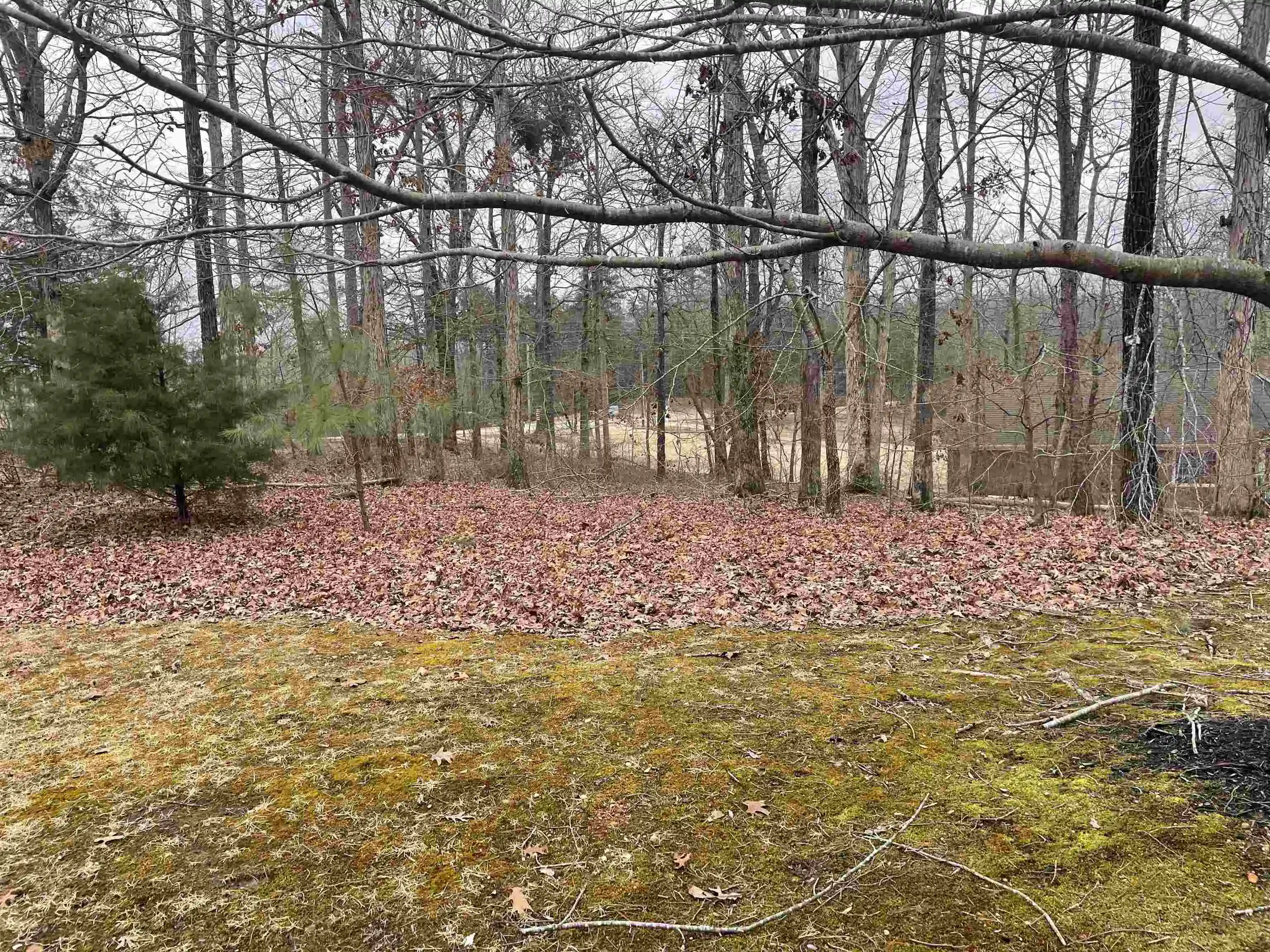3rd image of 404 Dunhill Ct, Counce, TN 38326 | MLS# 10228218