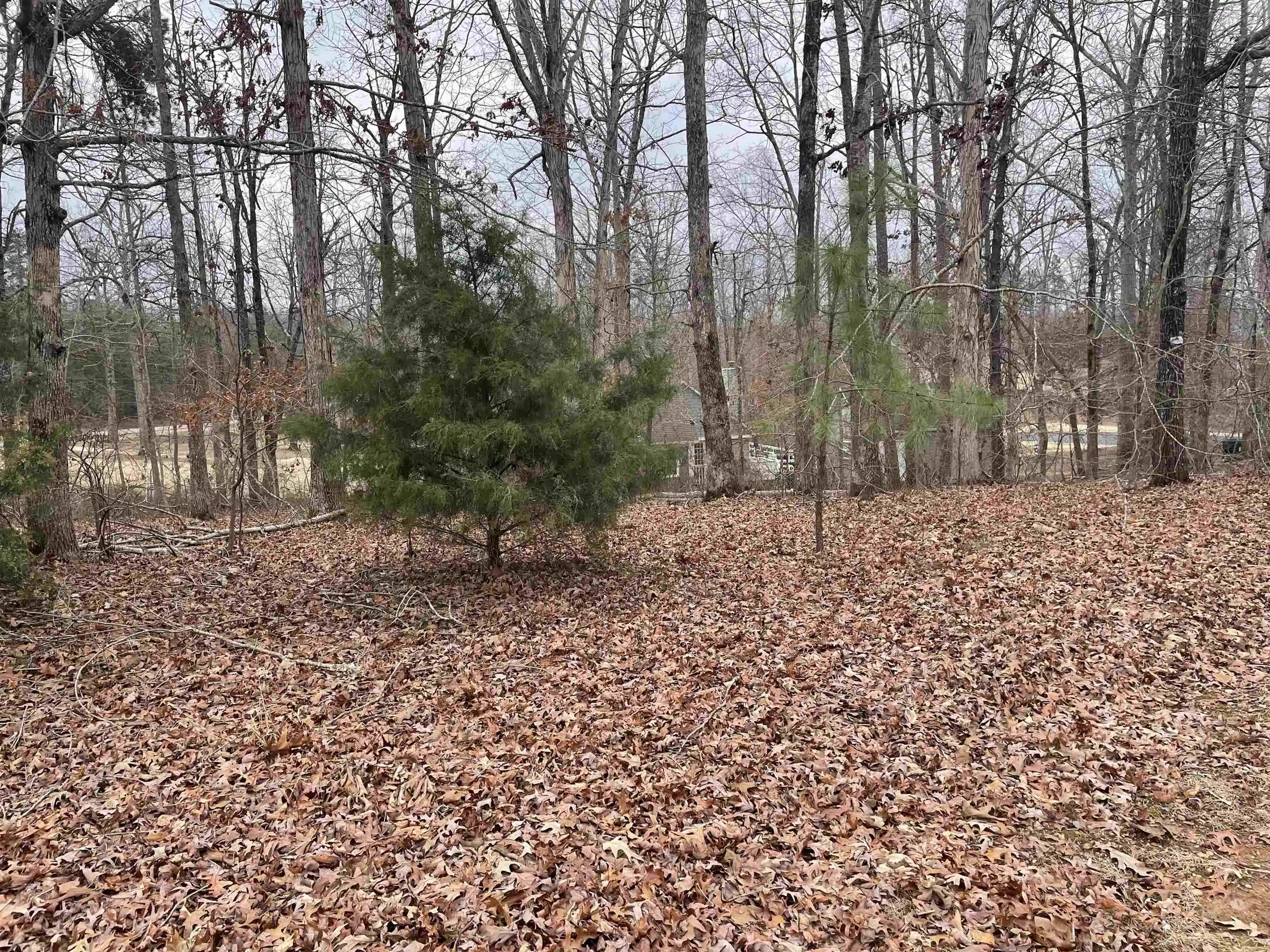 4th image of 404 Dunhill Ct, Counce, TN 38326 | MLS# 10228218