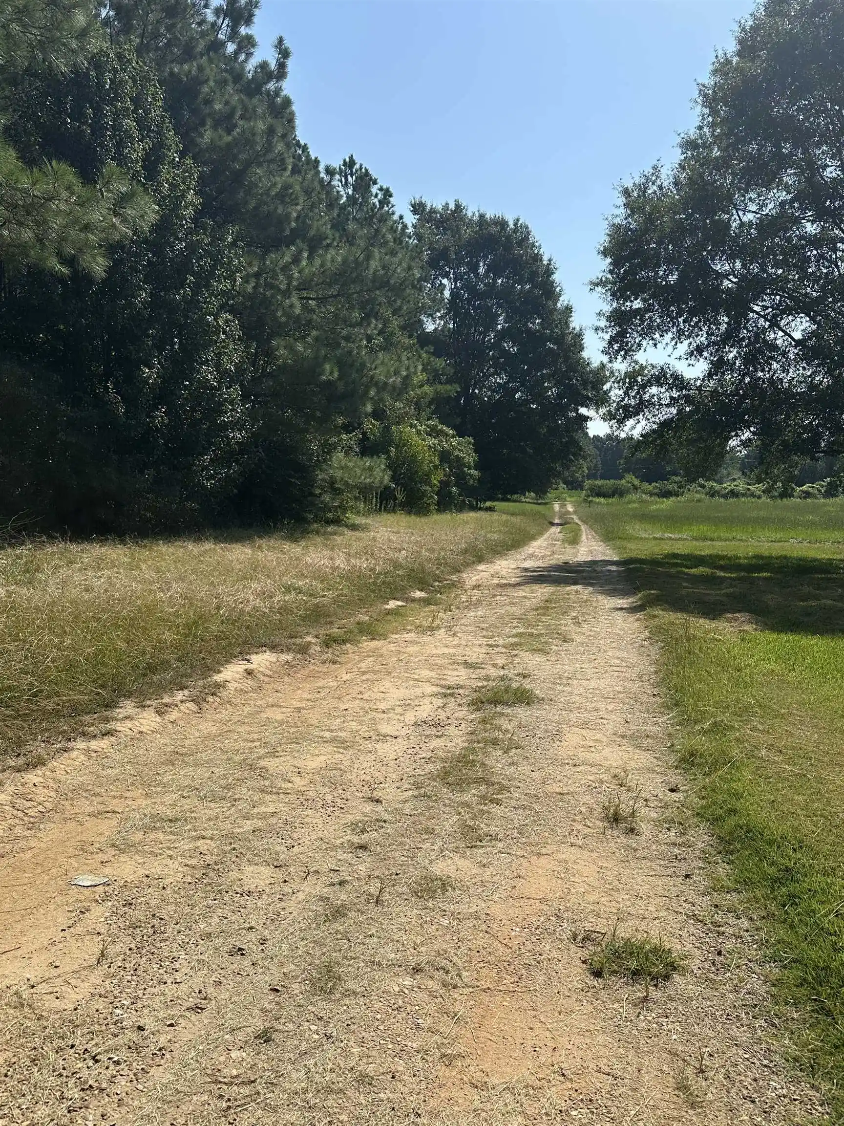 5th image of 426 Gordon Rd, Ashland, MS 38603 | MLS# 10228225