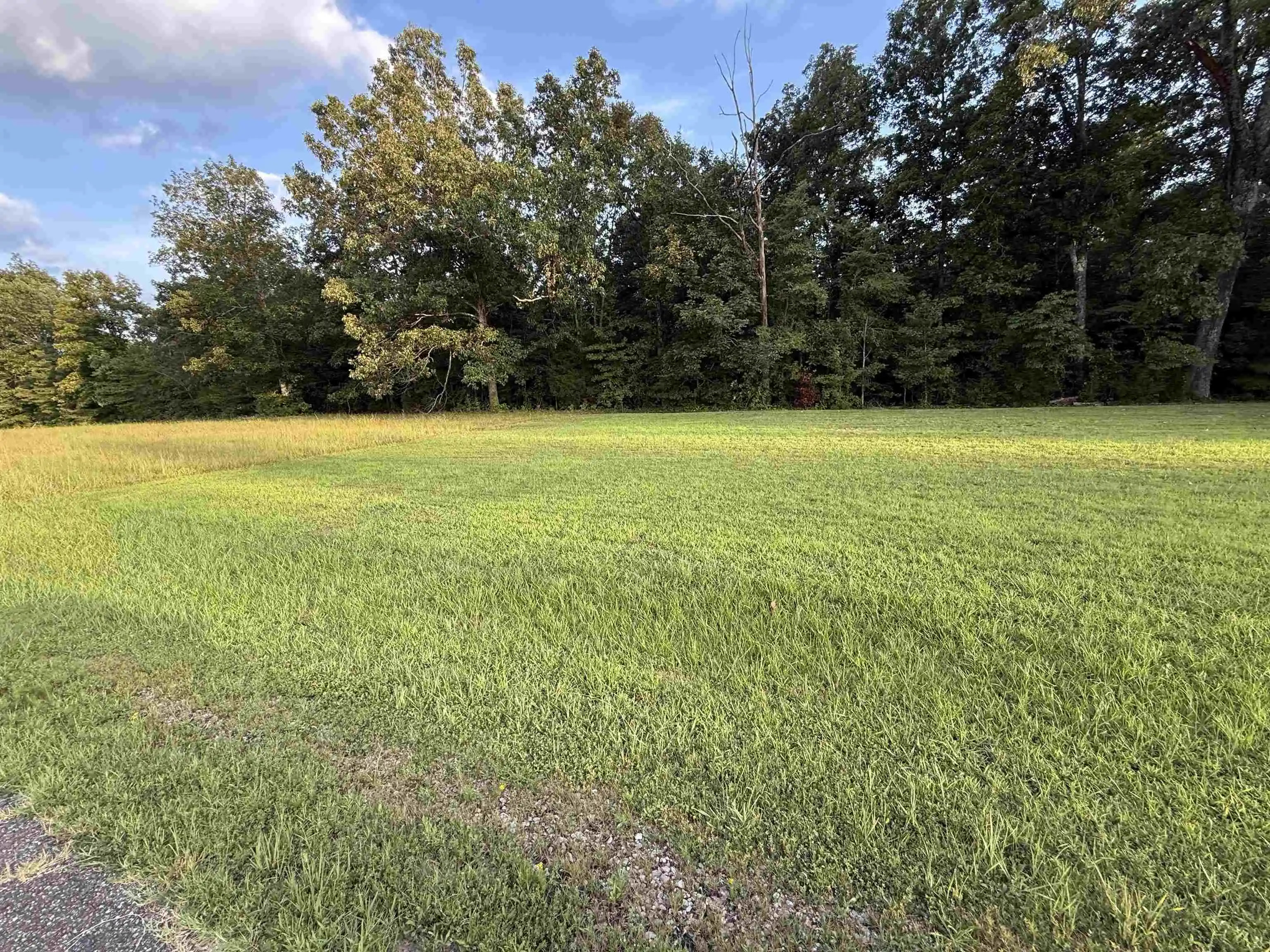 1st image of Falcon Cv, Middleton, TN 38052 | MLS# 10228308