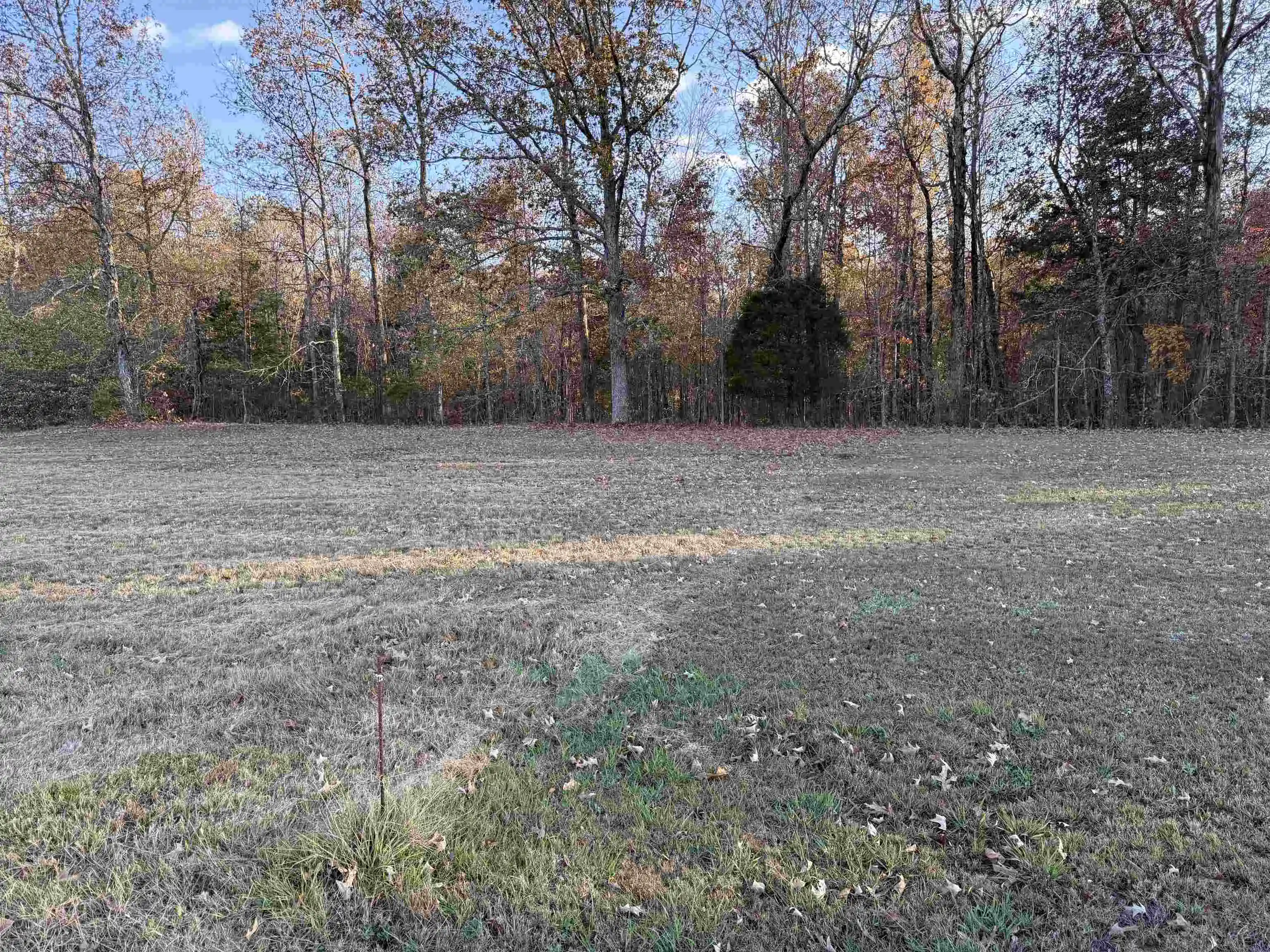 2nd image of Falcon Cv, Middleton, TN 38052 | MLS# 10228308