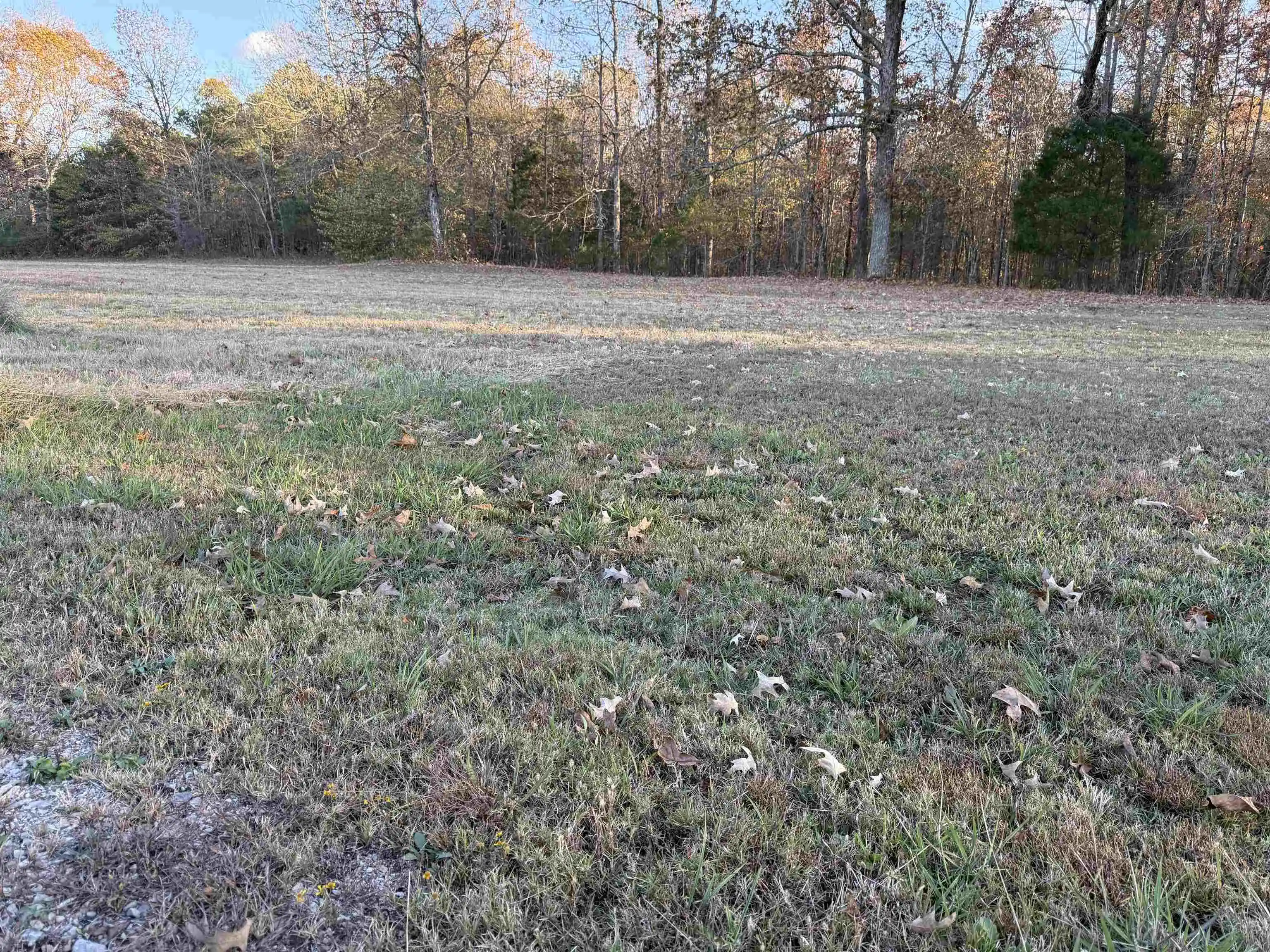 3rd image of Falcon Cv, Middleton, TN 38052 | MLS# 10228308