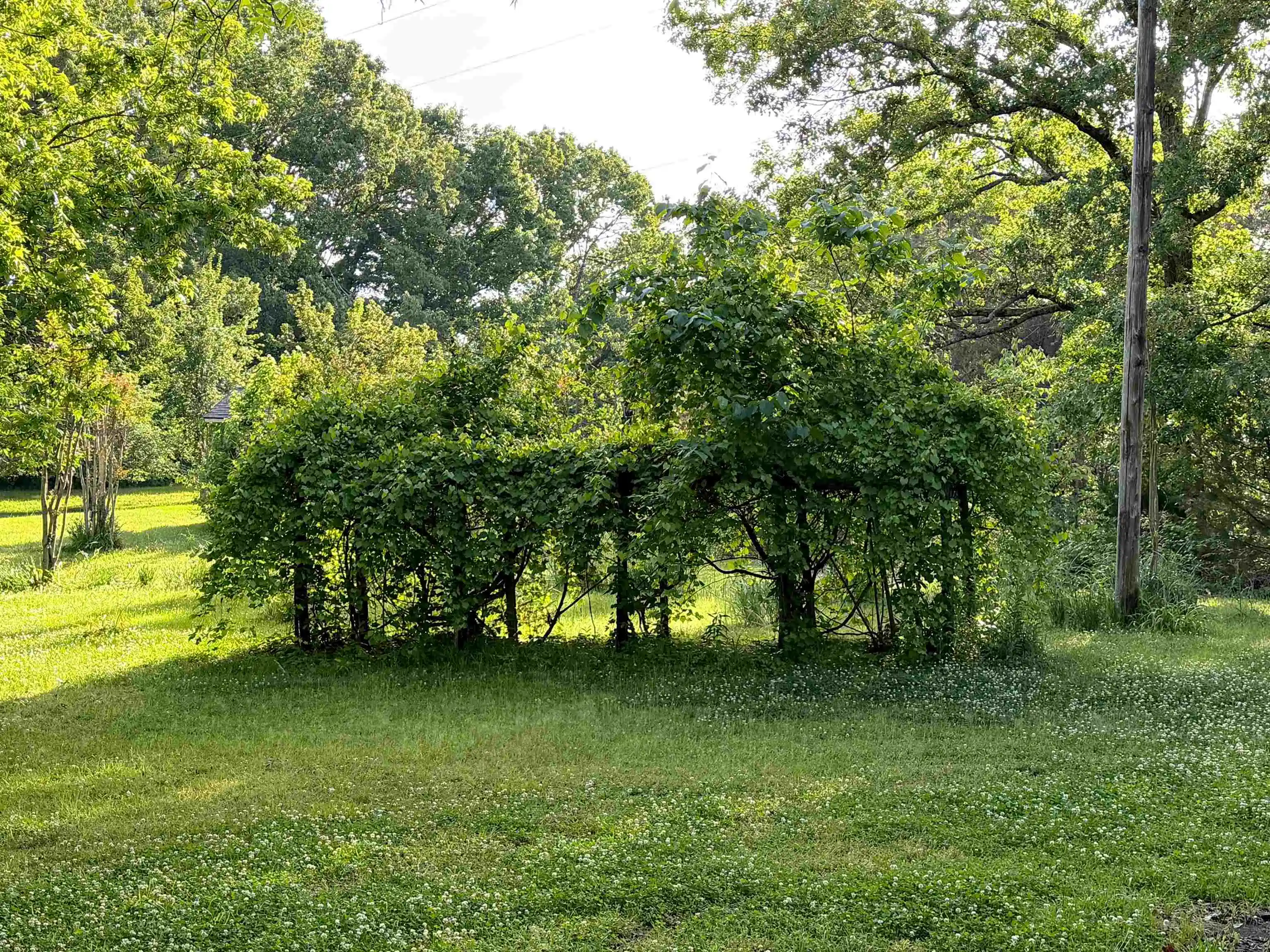 Photo 2 of Single family home for sale at 241 Mississippi 310 Rd, Waterford, MS 38685 | MLS# 10228446 | Listing updated on 2026-08-14