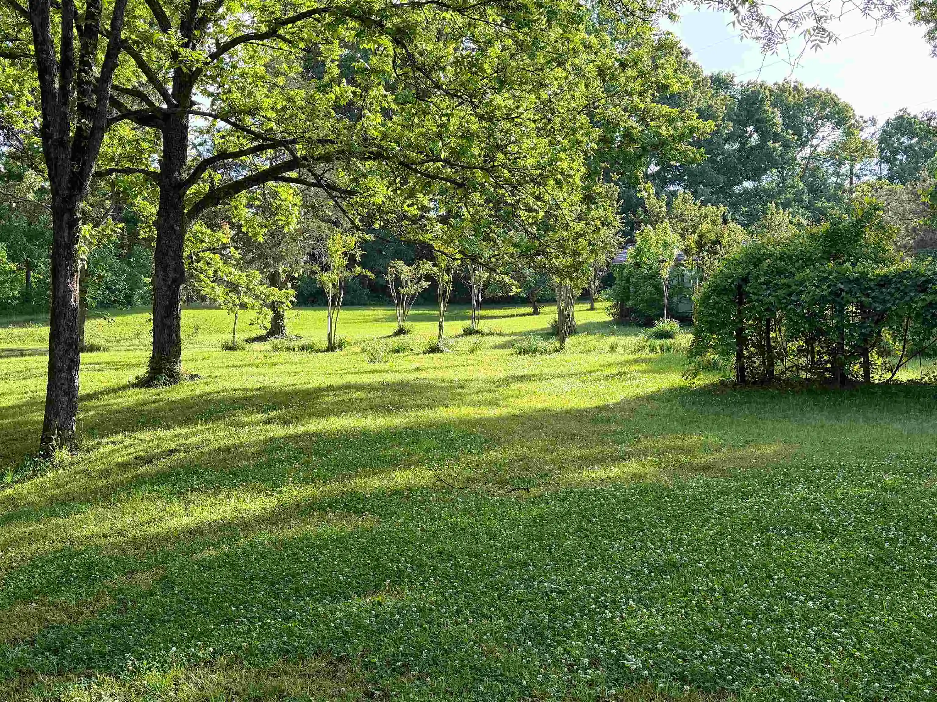 Photo 34 of Single family home for sale at 241 Mississippi 310 Rd, Waterford, MS 38685 | MLS# 10228446 | Listing updated on 2026-08-14