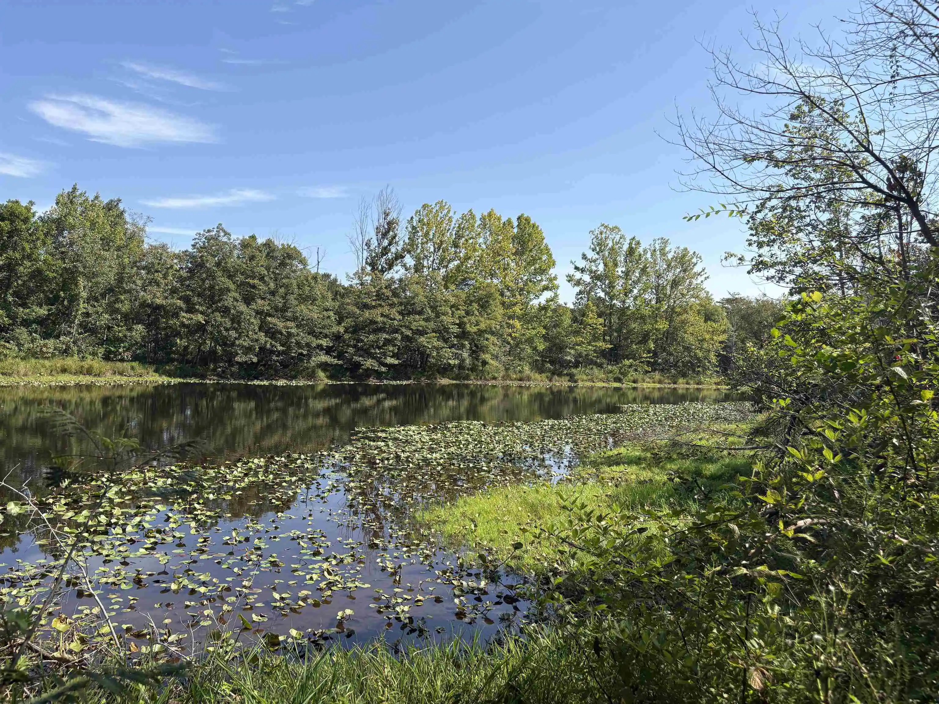 3rd image of 2780 Overton Loop, Medon, TN 38356 | MLS# 10228555