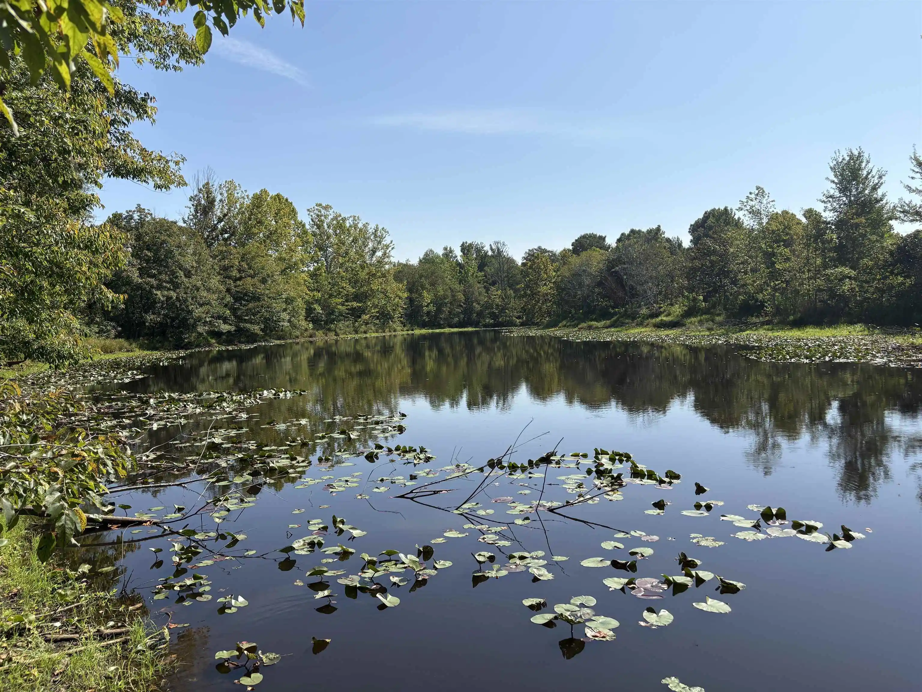 4th image of 2780 Overton Loop, Medon, TN 38356 | MLS# 10228555
