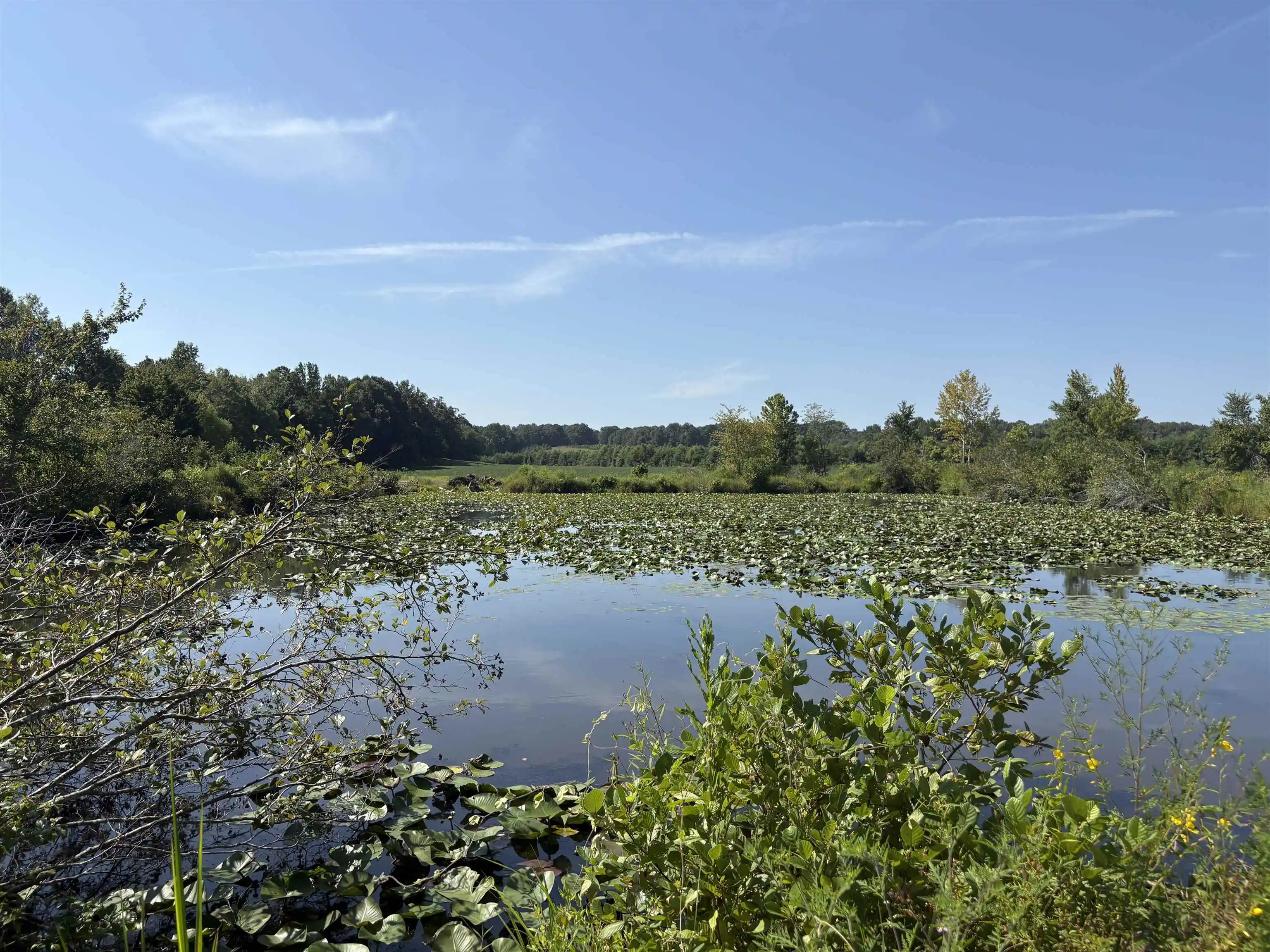 5th image of 2780 Overton Loop, Medon, TN 38356 | MLS# 10228555