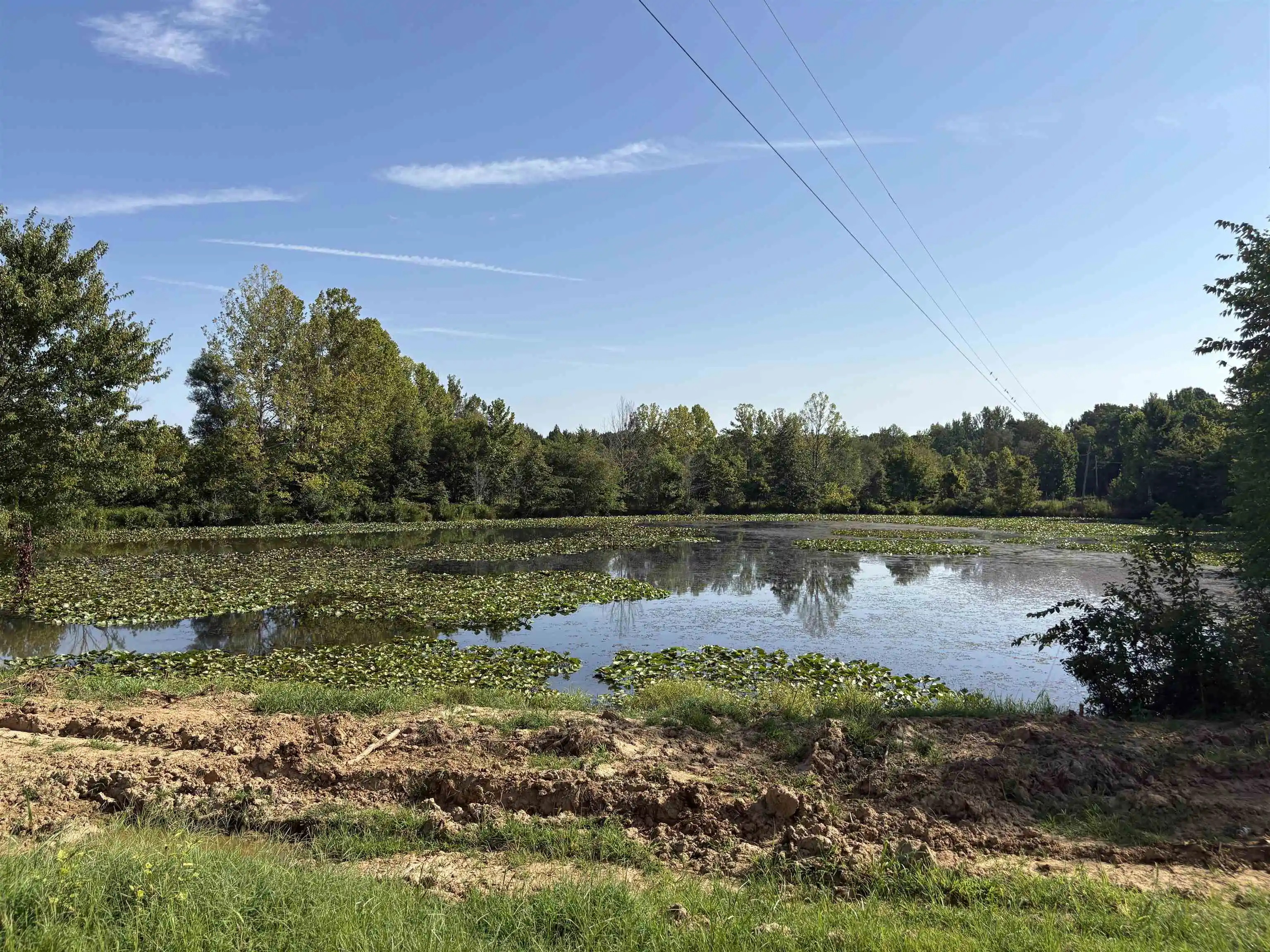 37th image of 2780 Overton Loop, Medon, TN 38356 | MLS# 10228555