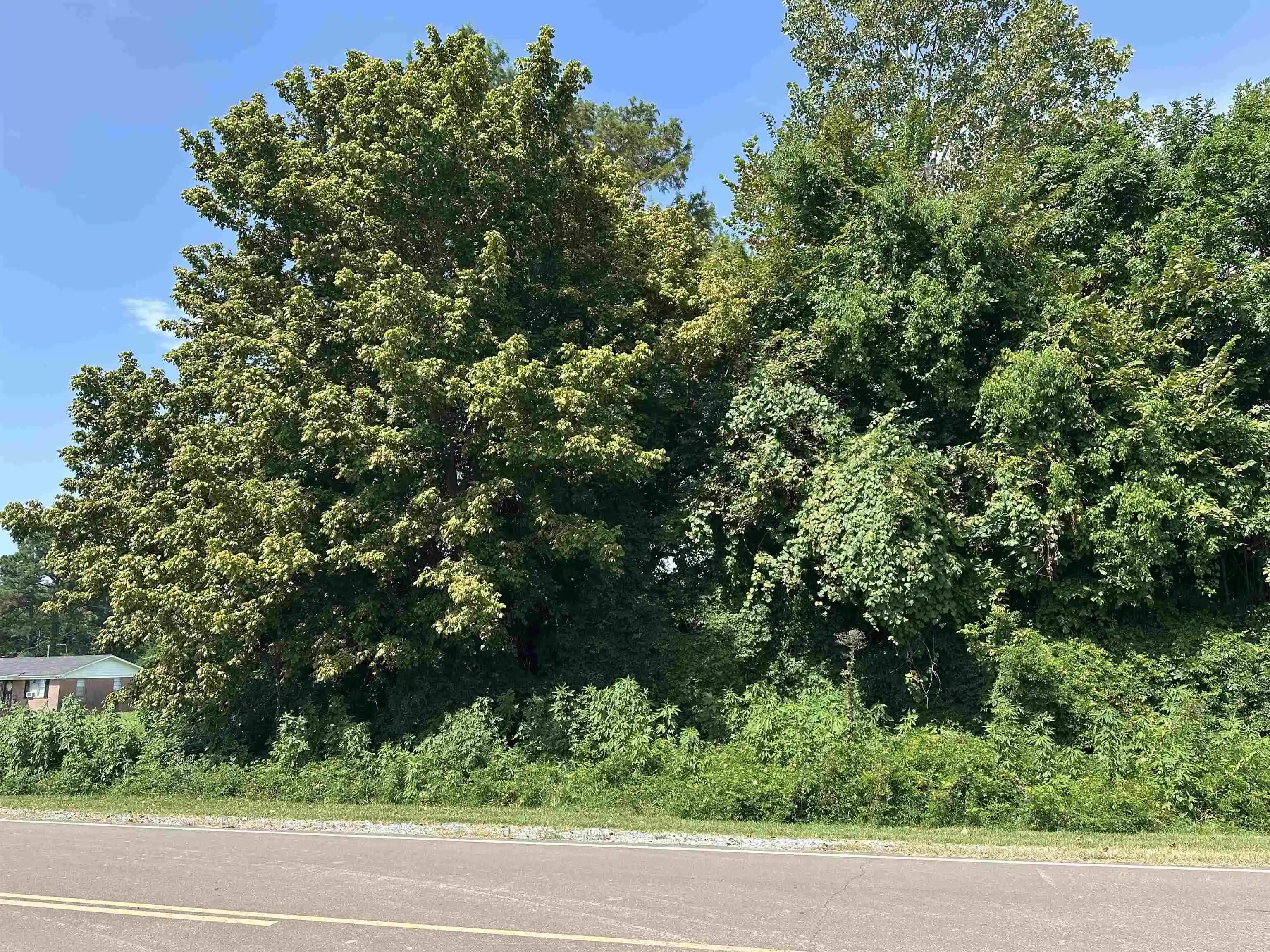 4th image of 0 Sledge Rd, Millington, TN 38053 | MLS# 10228574