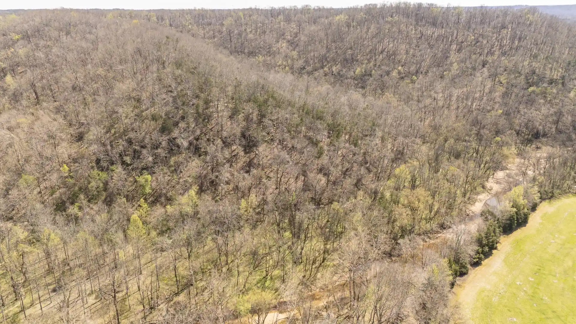 Photo 3 of Land for sale at 00 Clifton Turnpike Rd, Waynesboro, TN 38485 | MLS# 10228636 | Listing updated on 2026-08-18