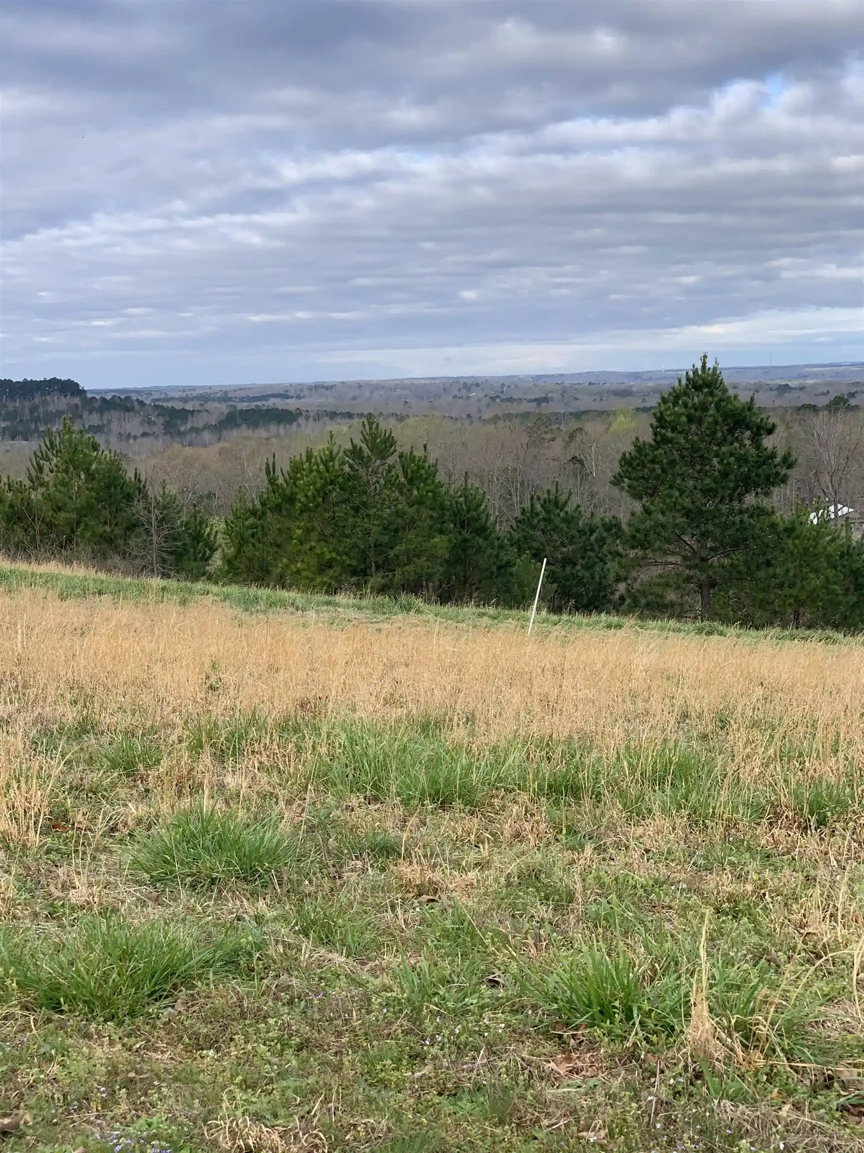 2nd image of Turkey Knob Rd, Counce, TN 38326 | MLS# 10228642
