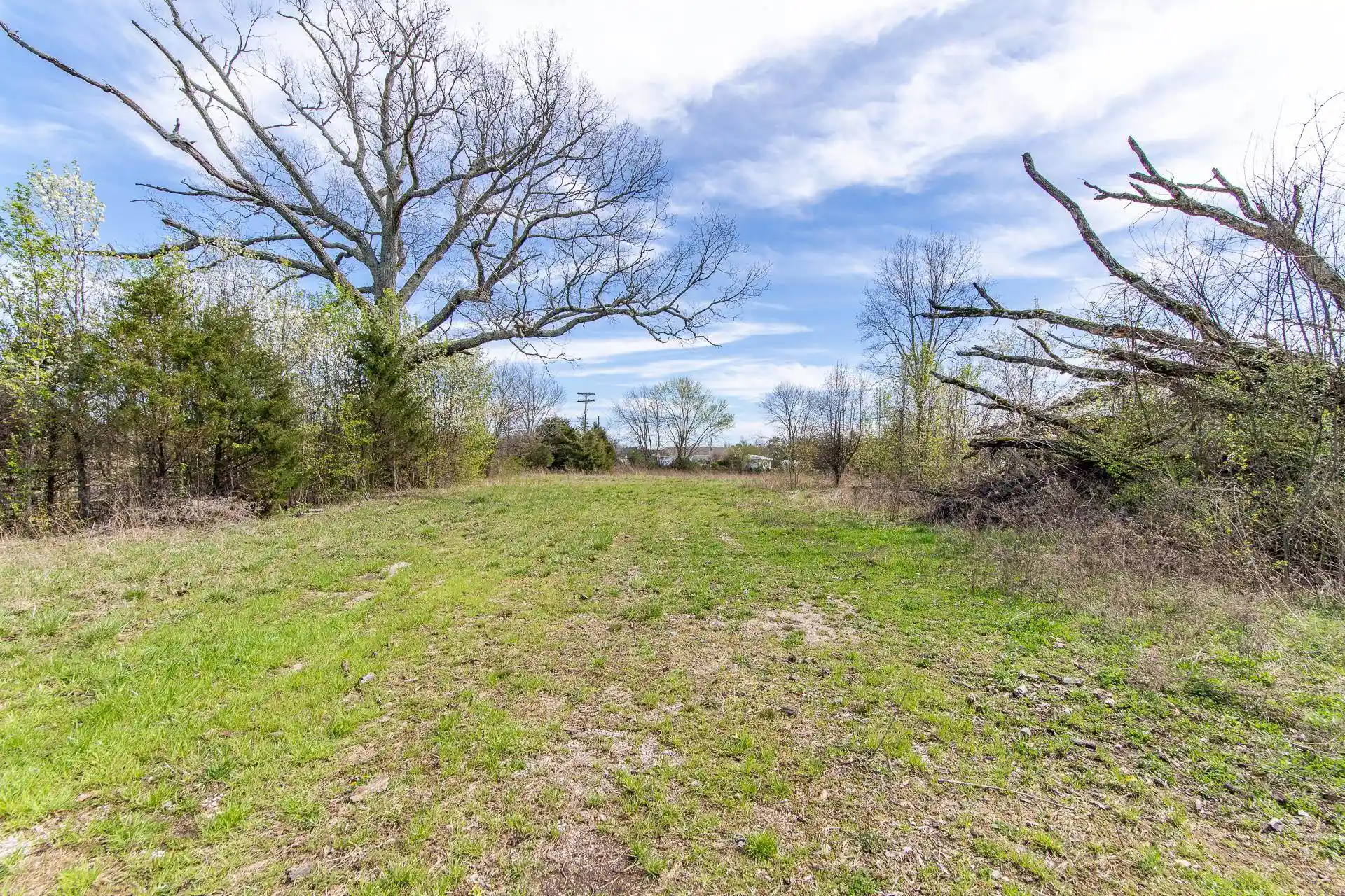 3rd image of 0 Hwy 69 Hwy, Savannah, TN 38372 | MLS# 10228644