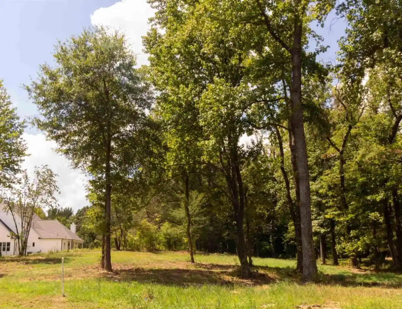 2nd image of 50 Crown Vista Ln, Collierville, TN 38017 | MLS# 10228737