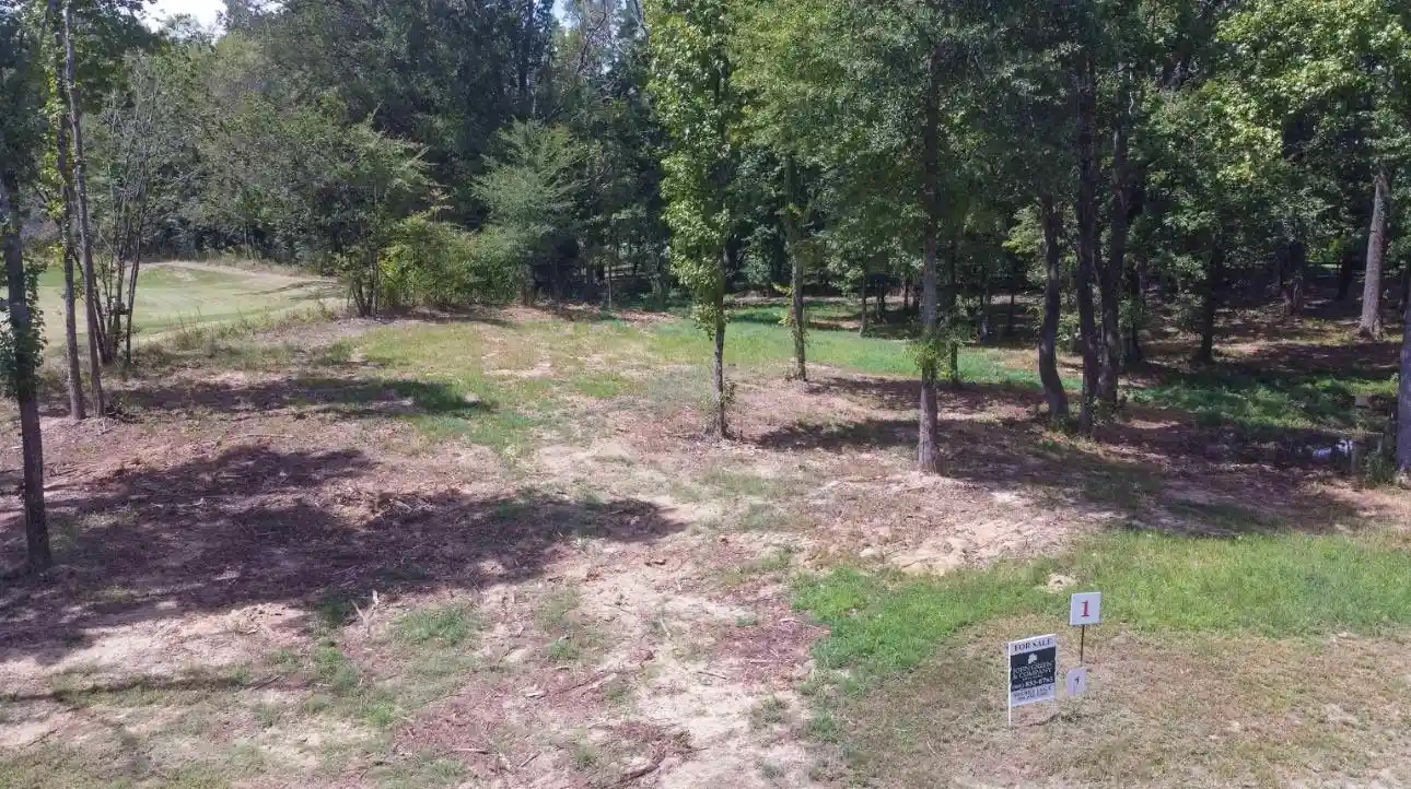 4th image of 50 Crown Vista Ln, Collierville, TN 38017 | MLS# 10228737