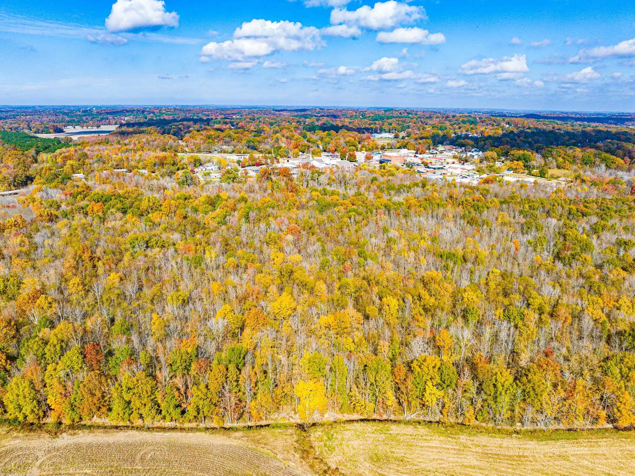 4th image of 0 Lexington St, Huntingdon, TN 38344 | MLS# 10228787