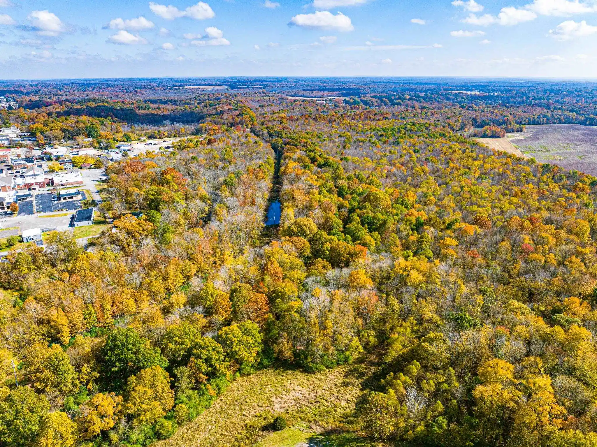 40th image of 0 Lexington St, Huntingdon, TN 38344 | MLS# 10228787