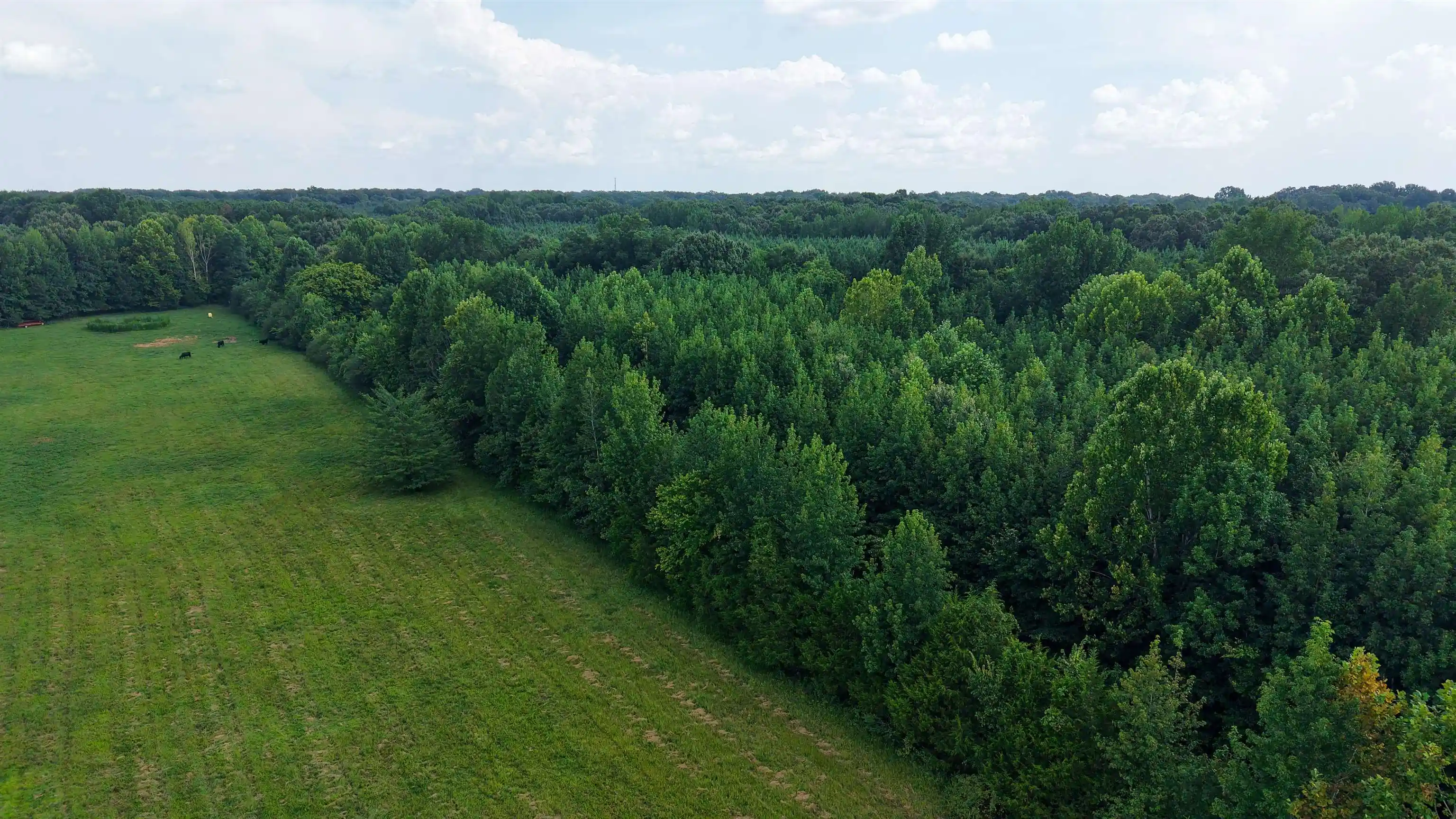 2nd image of 2639 Reid Hooker Rd, Eads, TN 38028 | MLS# 10228819