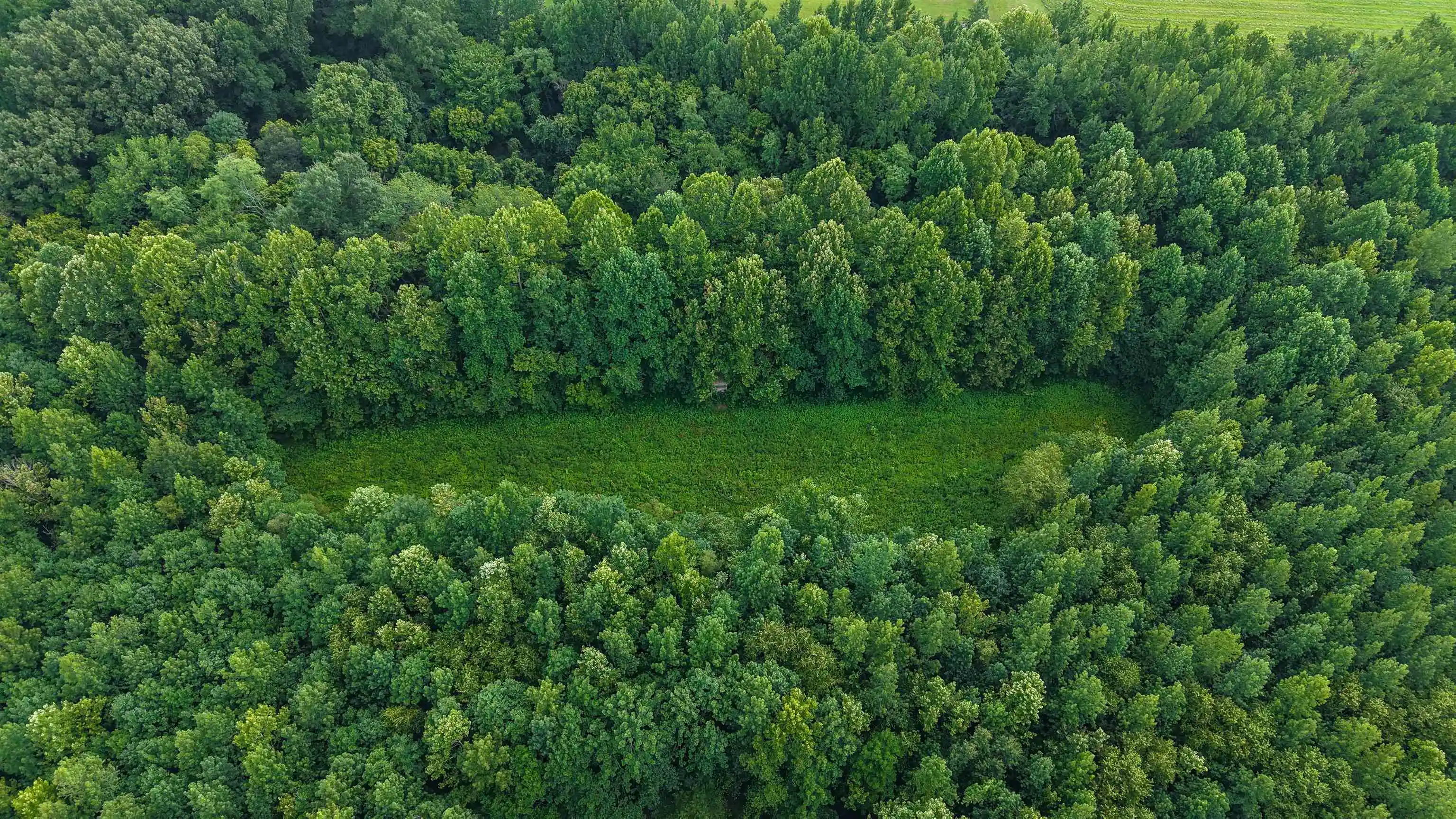 3rd image of 2639 Reid Hooker Rd, Eads, TN 38028 | MLS# 10228819