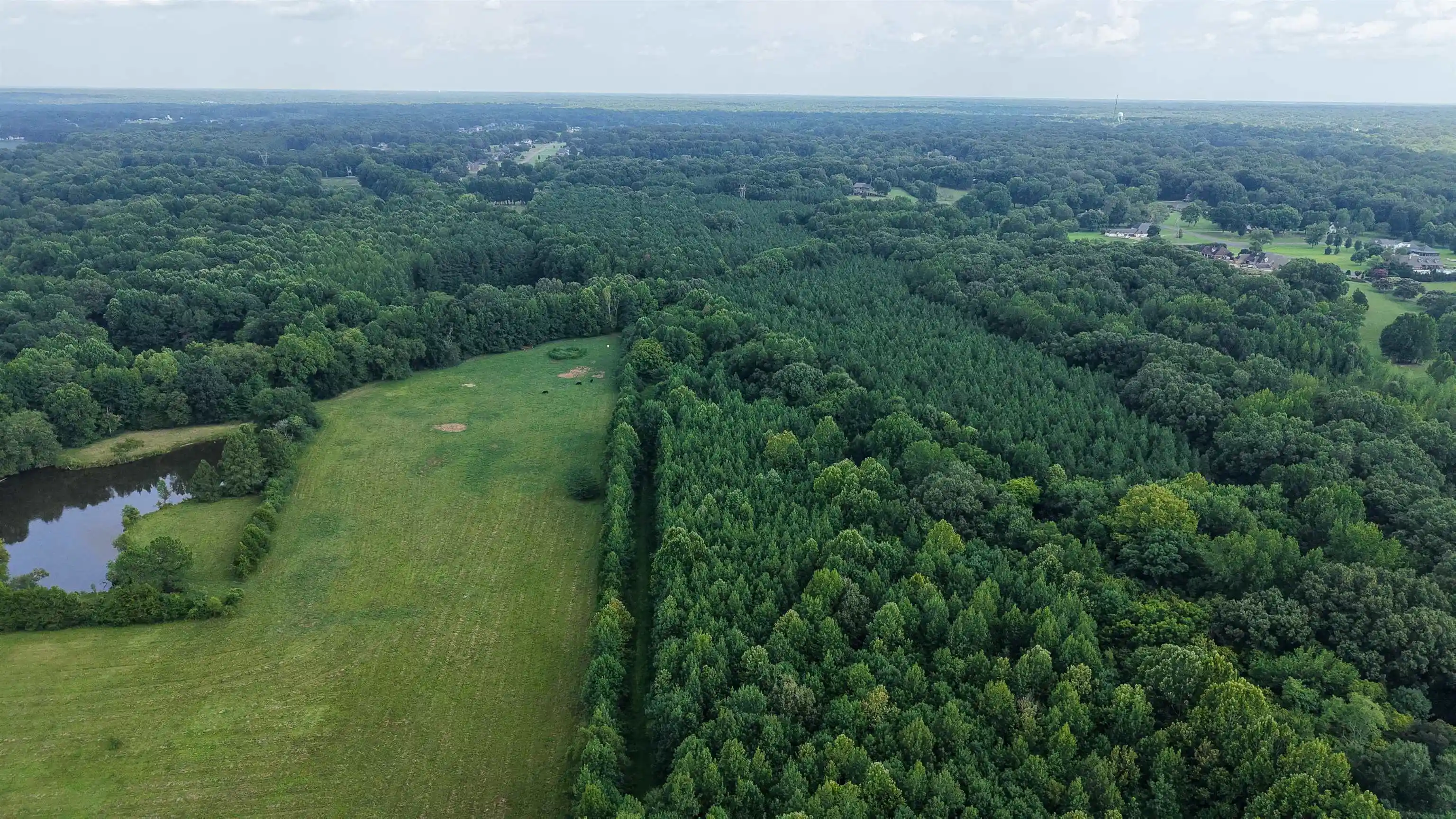 4th image of 2639 Reid Hooker Rd, Eads, TN 38028 | MLS# 10228819
