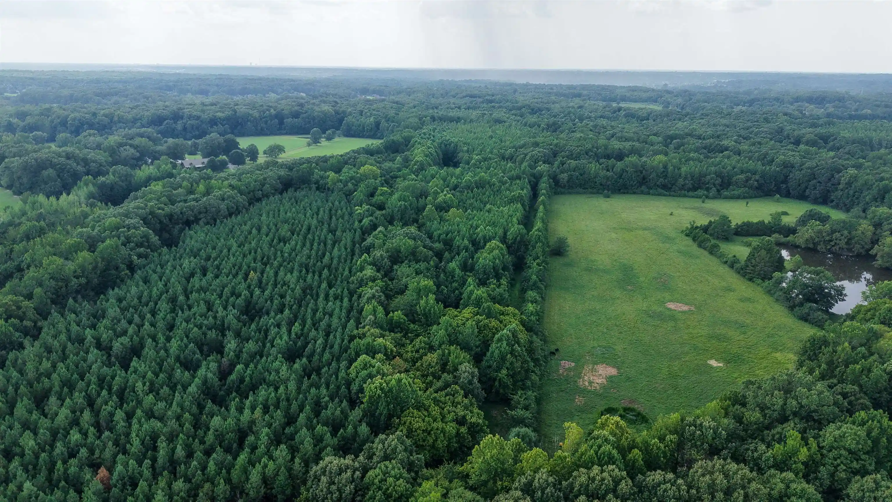5th image of 2639 Reid Hooker Rd, Eads, TN 38028 | MLS# 10228819