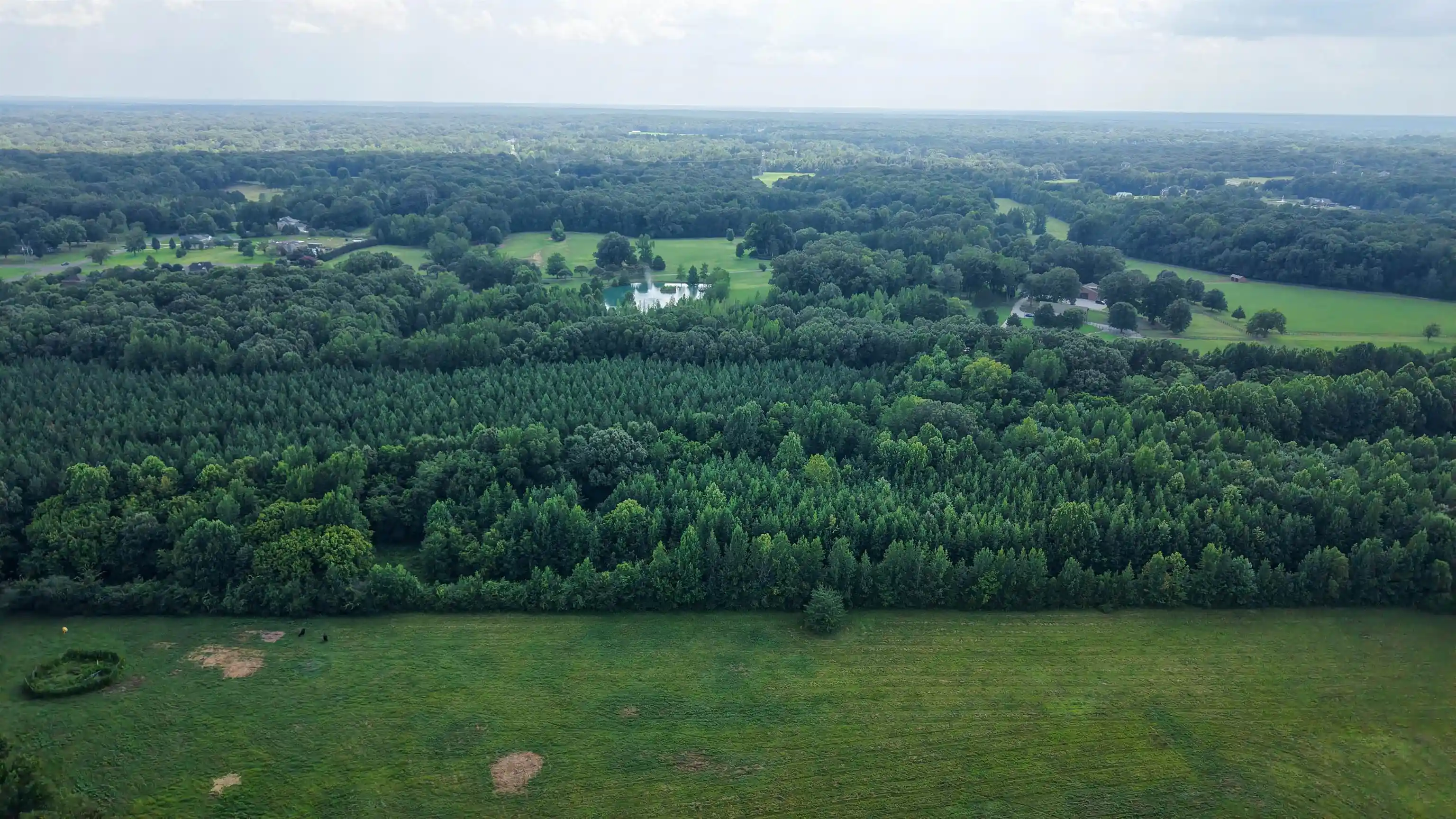 25th image of 2639 Reid Hooker Rd, Eads, TN 38028 | MLS# 10228819