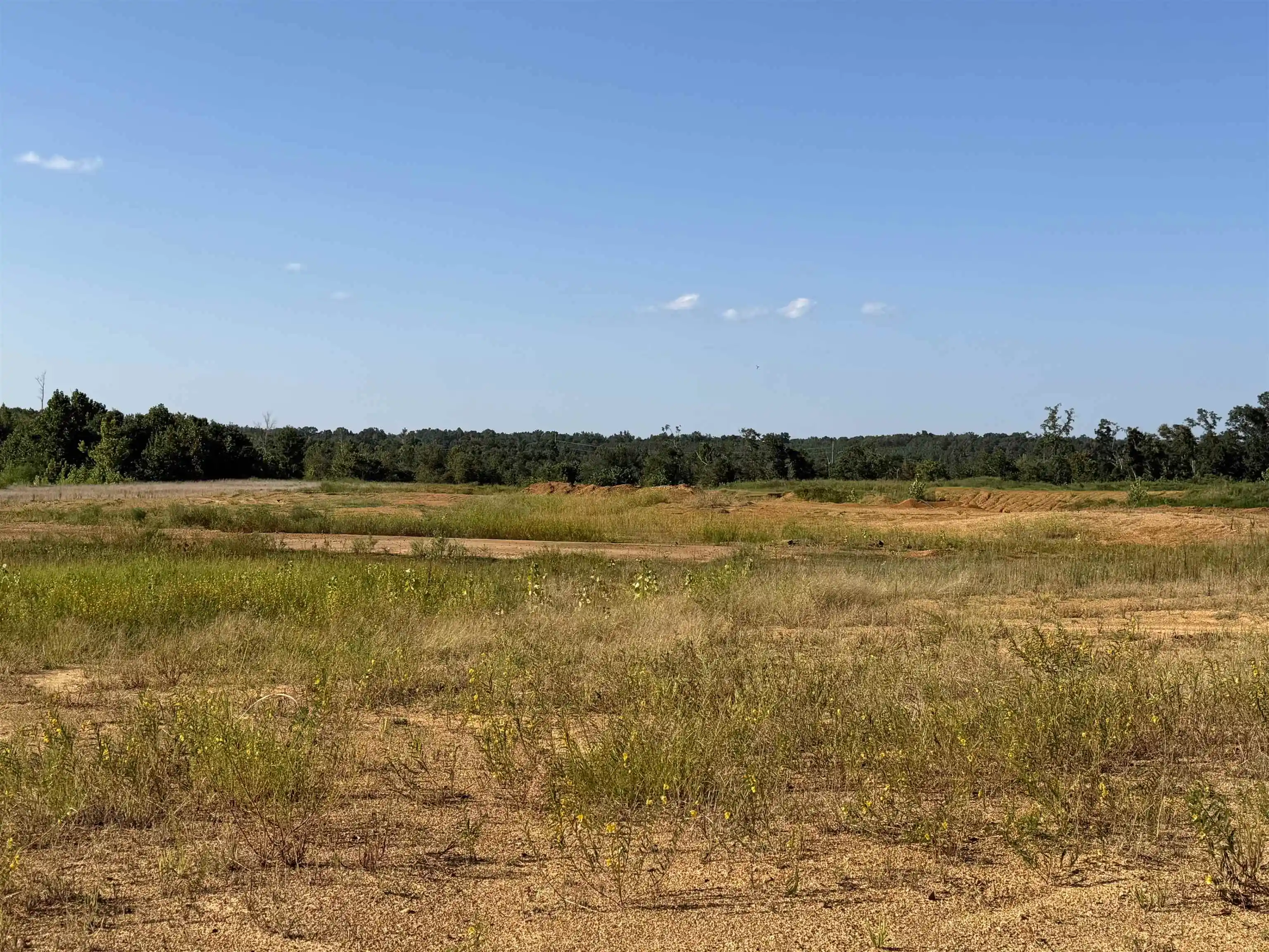 2nd image of 0 Apple Tree Ln, Adamsville, TN 38310 | MLS# 10228834