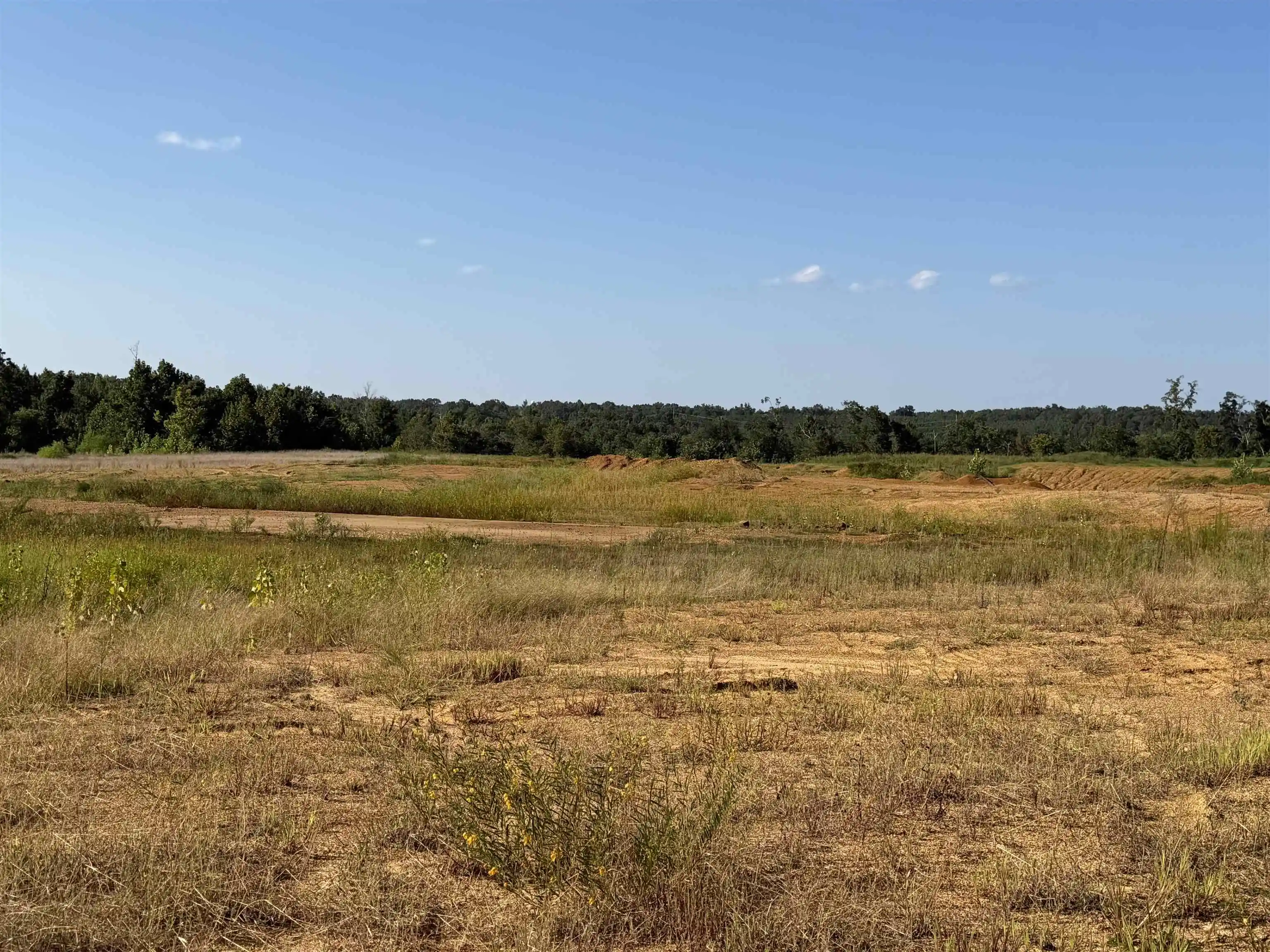 Photo 3 of Land for sale at 0 Apple Tree Ln, Adamsville, TN 38310 | MLS# 10228834 | Listing updated on 2026-08-21