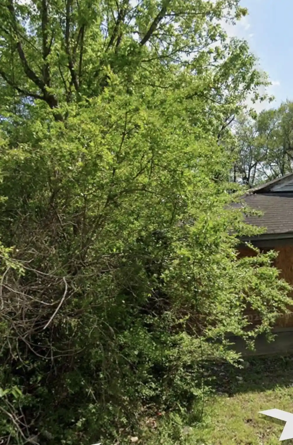 Photo 1 of Land for sale at 499 E Waldorf Ave, Memphis, TN 38106 | MLS# 10228857 | Listing updated on 2026-08-21