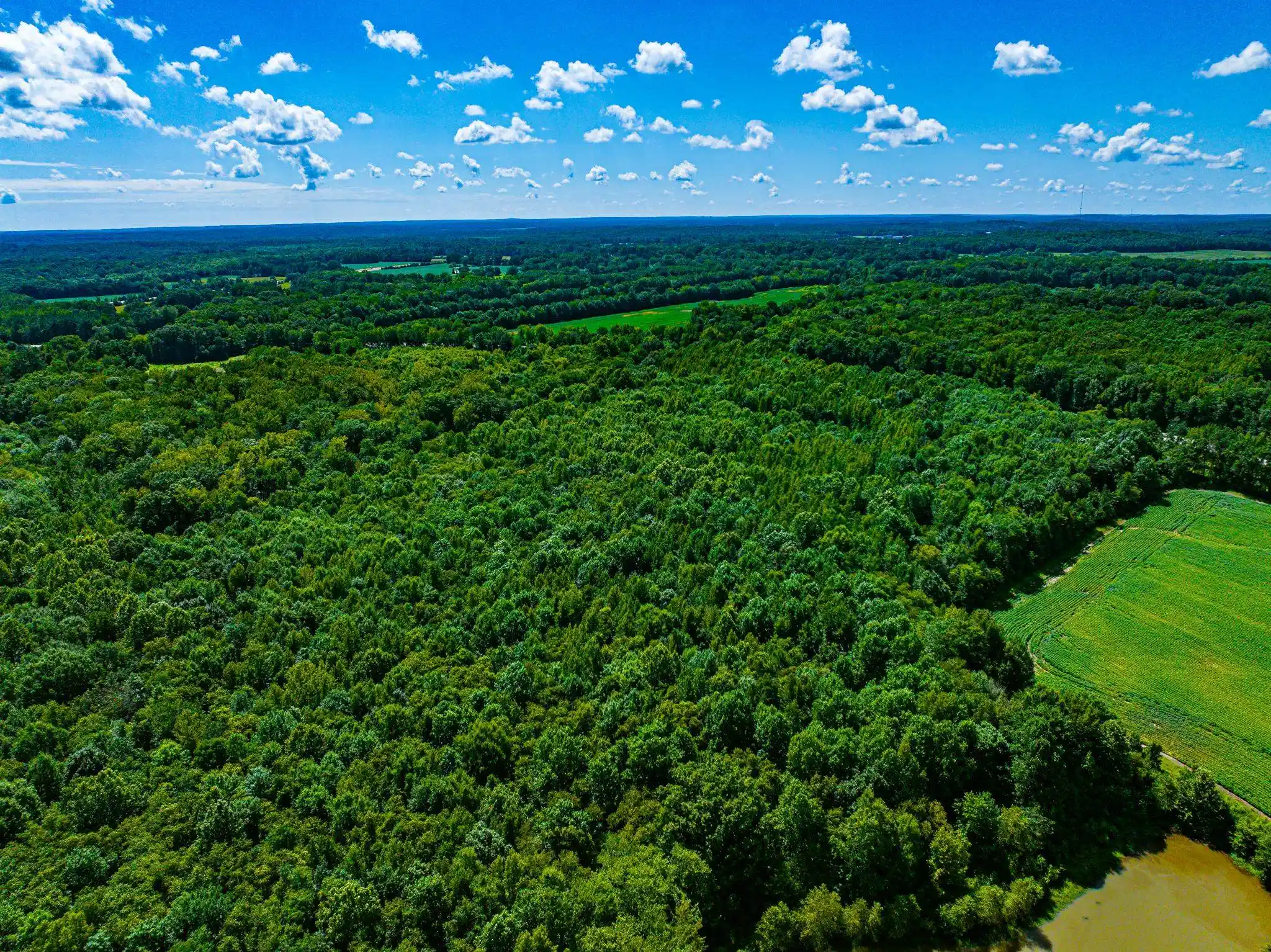 4th image of 0 S Veterans Dr, Huntingdon, TN 38344 | MLS# 10228860