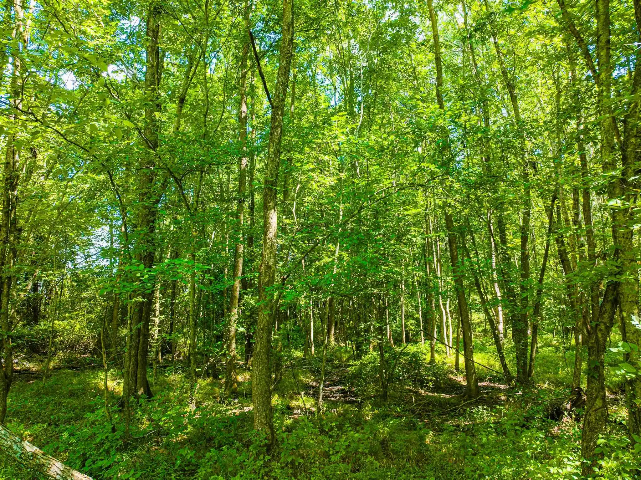 5th image of 0 S Veterans Dr, Huntingdon, TN 38344 | MLS# 10228860