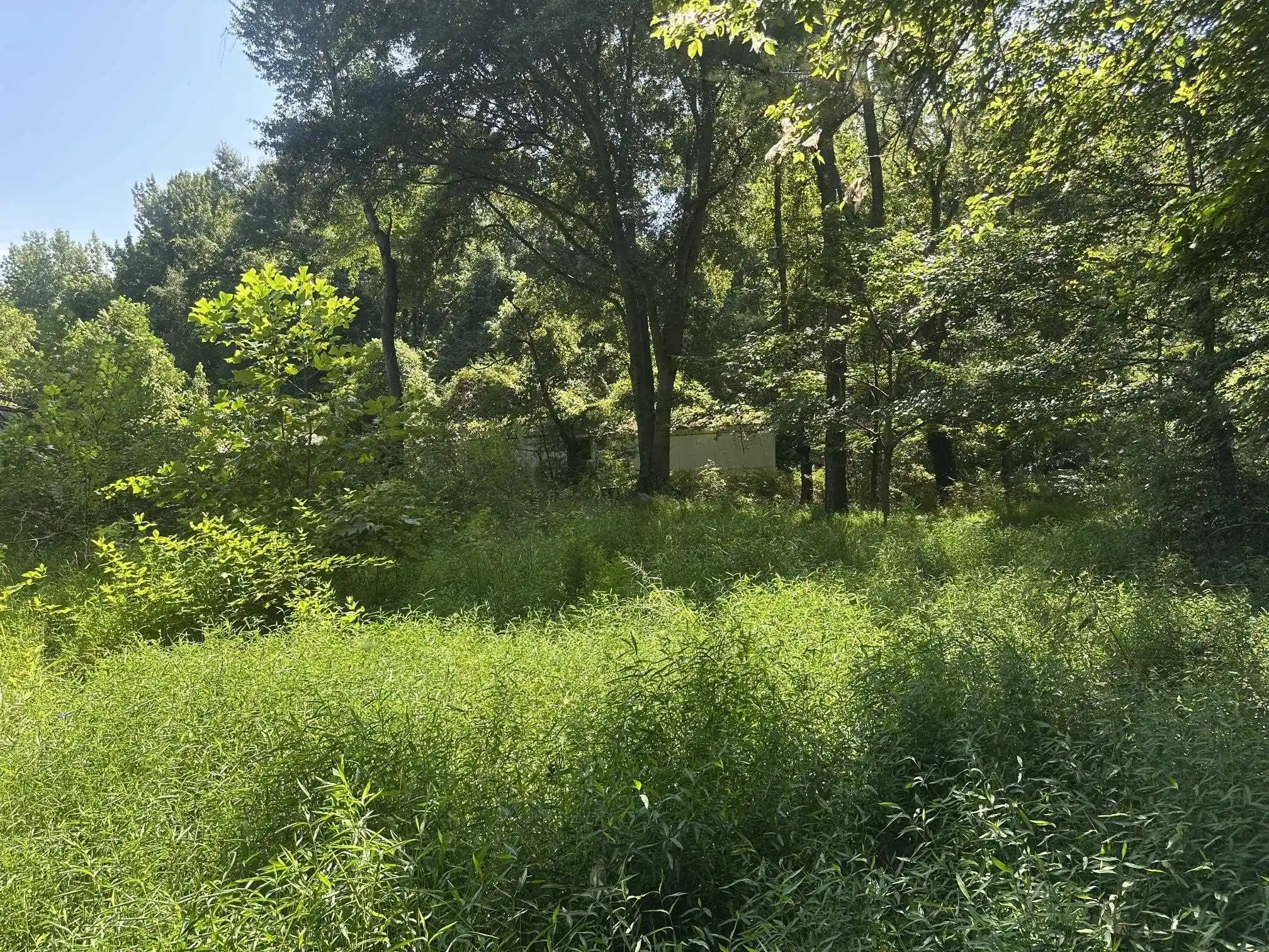 Photo 4 of Land for sale at 7700 Pleasant Ridge Rd, Arlington, TN 38002 | MLS# 10228884 | Listing updated on 2026-08-26