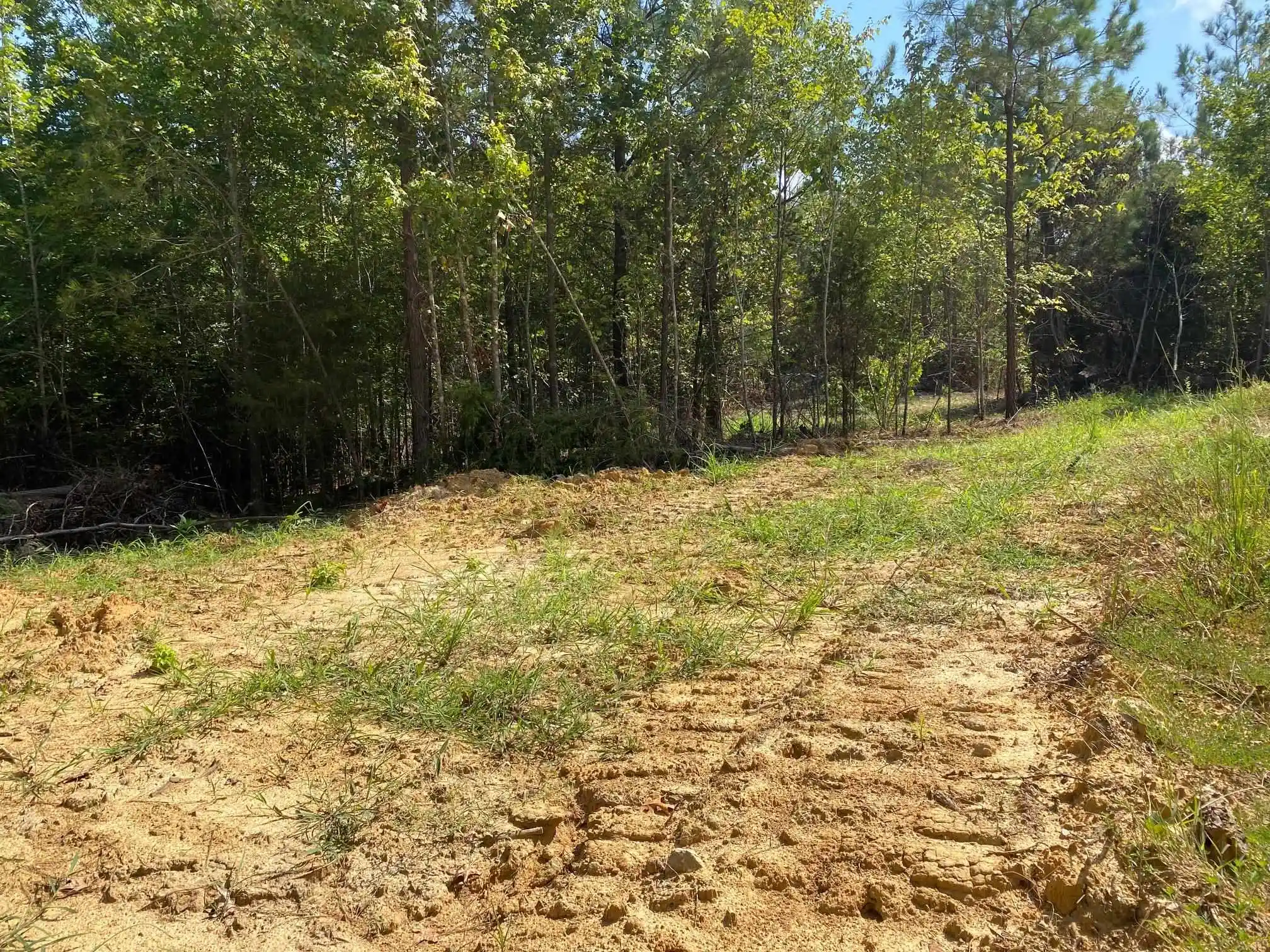 1st image of Otis Paine Rd, Bethel Springs, TN 38315 | MLS# 10228885