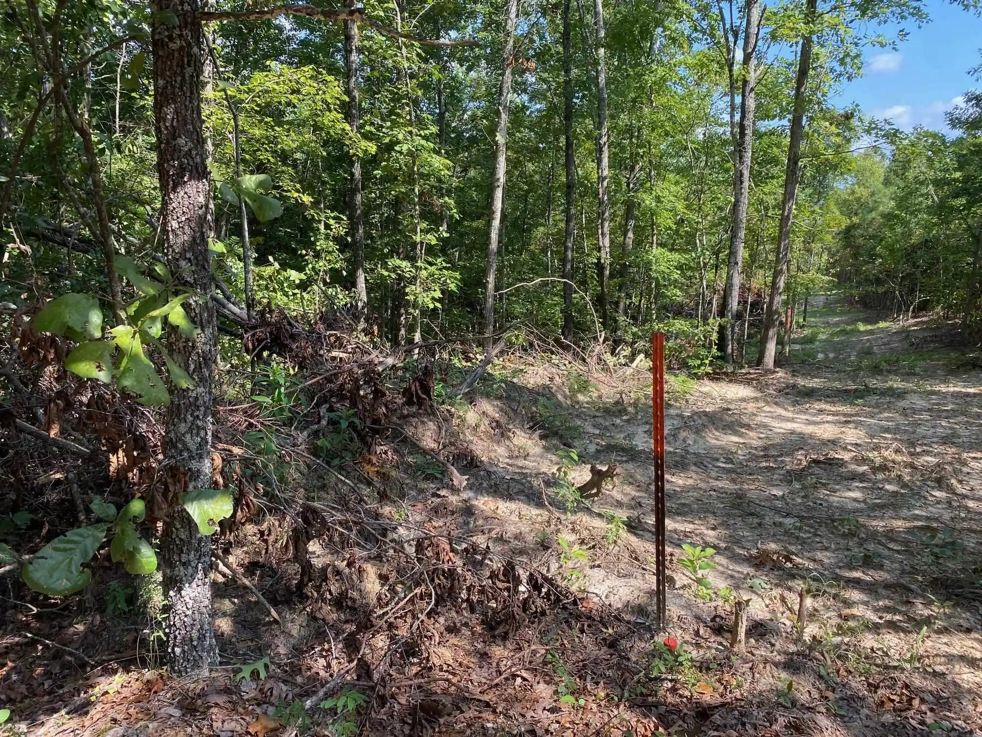 2nd image of Otis Paine Rd, Bethel Springs, TN 38315 | MLS# 10228885