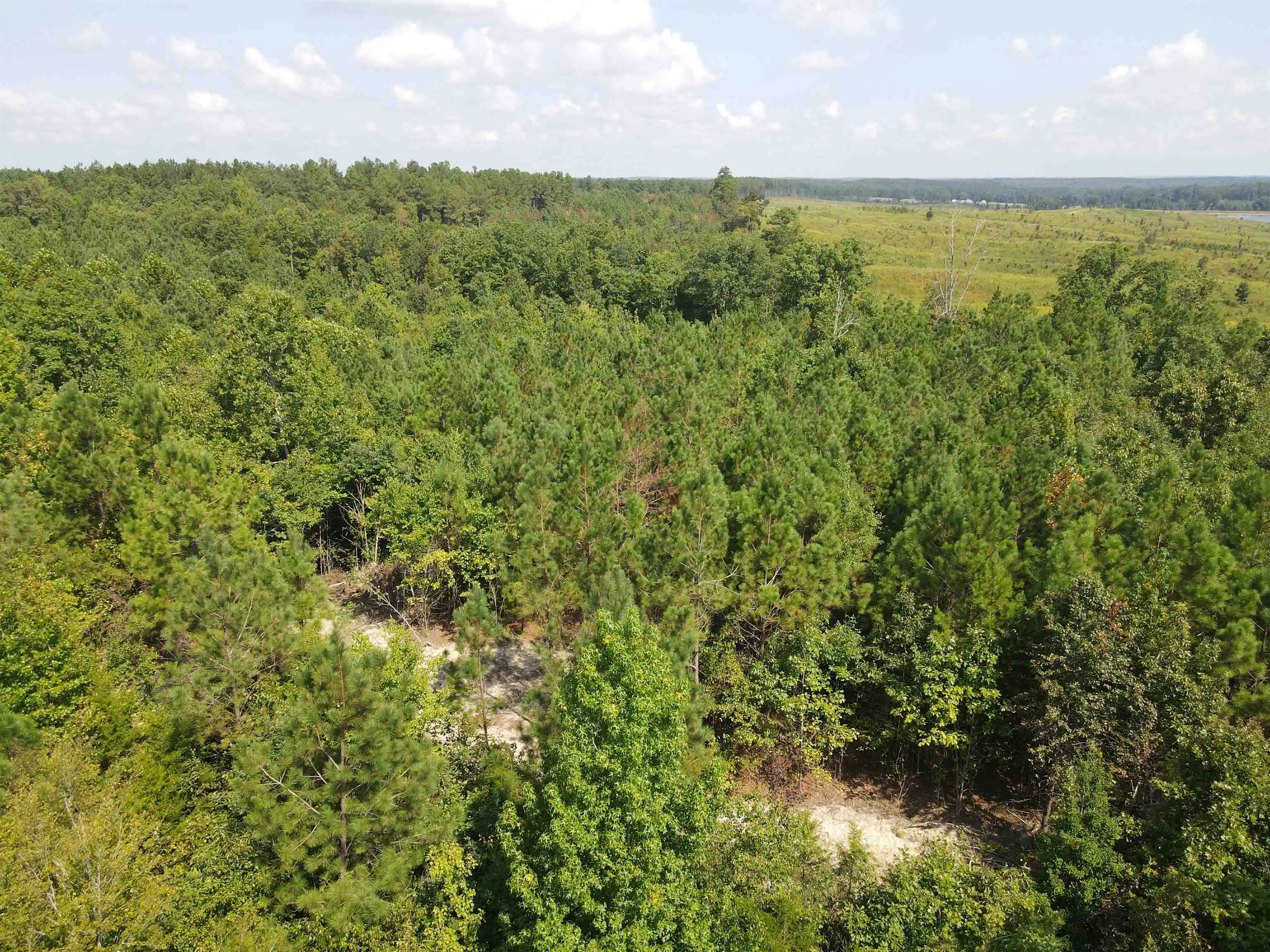 Photo 3 of Land for sale at Otis Paine Rd, Bethel Springs, TN 38315 | MLS# 10228885 | Listing updated on 2026-09-28
