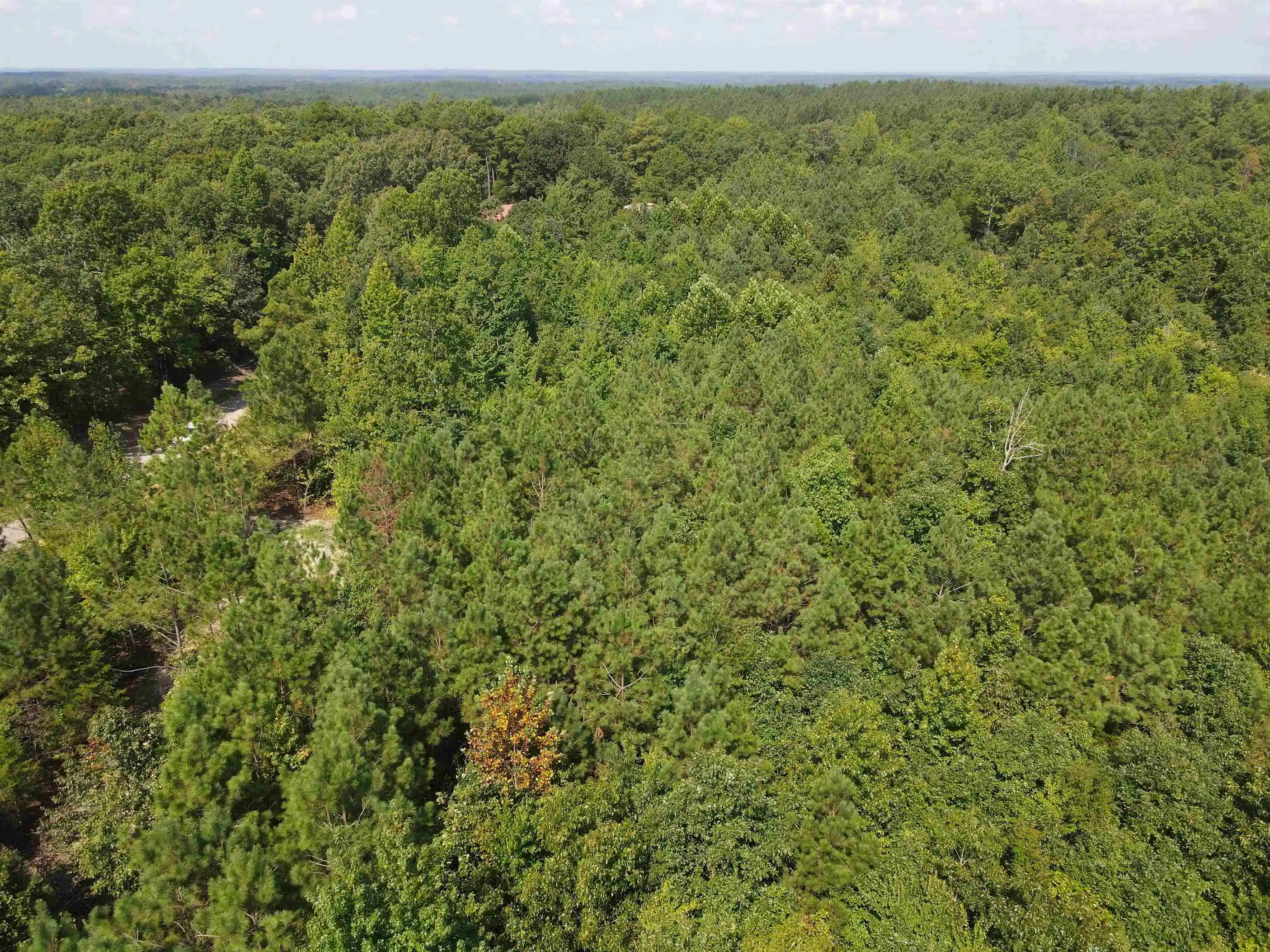 Photo 4 of Land for sale at Otis Paine Rd, Bethel Springs, TN 38315 | MLS# 10228885 | Listing updated on 2026-09-28