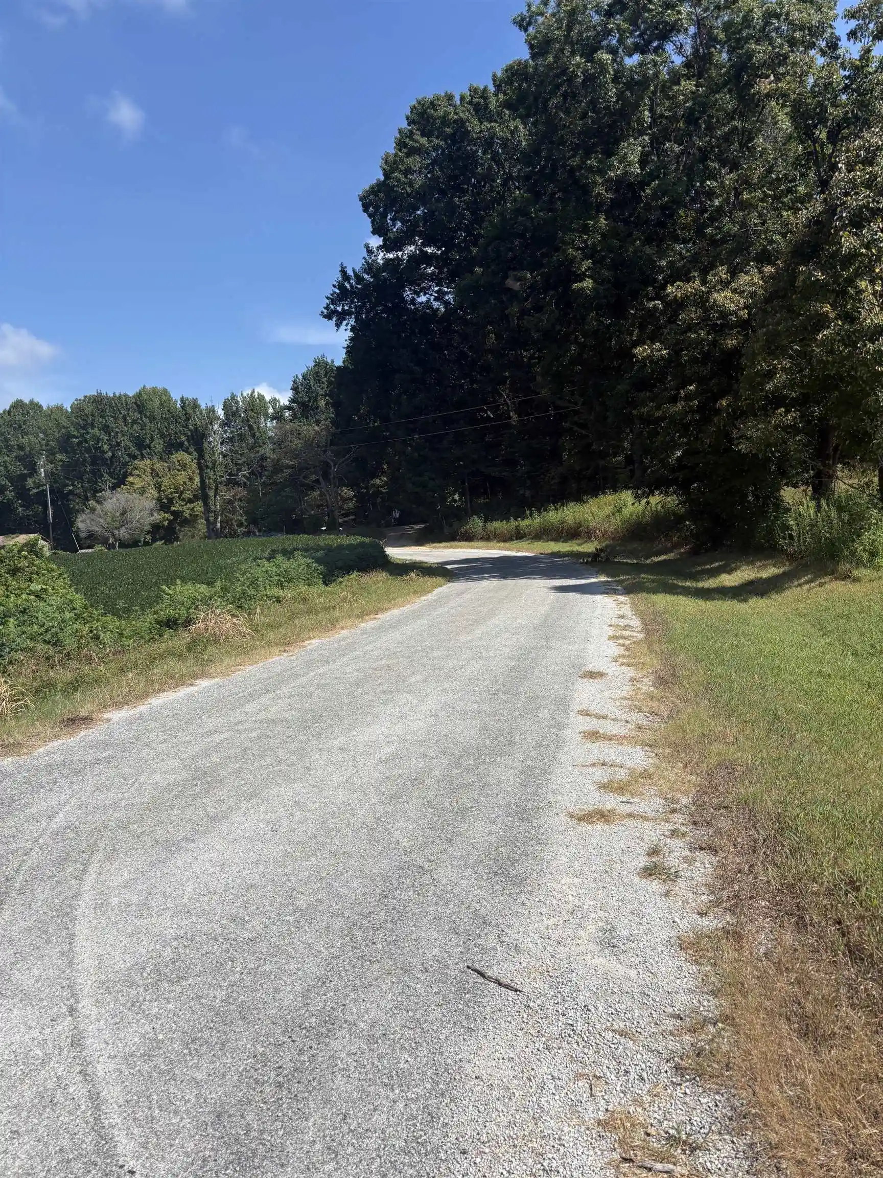 Photo 3 of Land for sale at 003 Hancock Rd, Ripley, TN 38063 | MLS# 10228906 | Listing updated on 2026-08-21