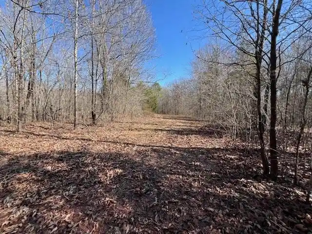 2nd image of Hays Rd, Moscow, TN 38057 | MLS# 10228993