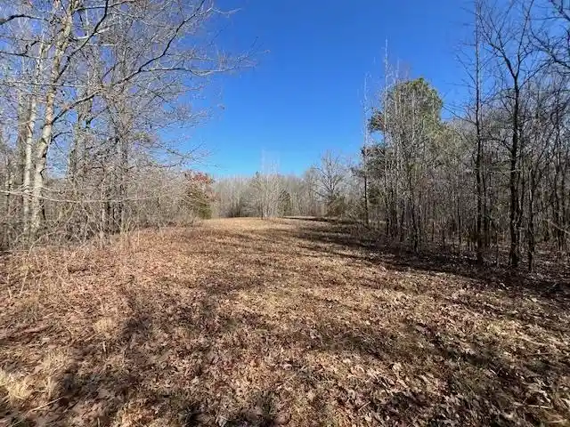 Photo 3 of Sale Pending at Hays Rd, Moscow, TN 38057 | MLS# 10228993 | Listing updated on 2026-09-13