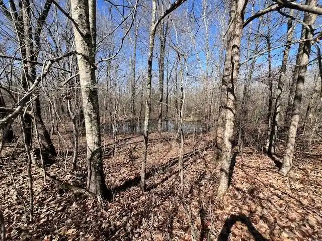 Photo 3 of Sale Pending at Hays Rd, Moscow, TN 38057 | MLS# 10228993 | Listing updated on 2026-09-13