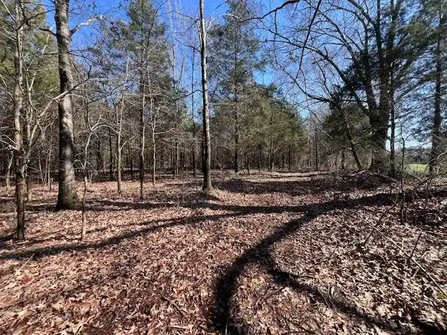 21st image of Hays Rd, Moscow, TN 38057 | MLS# 10228993