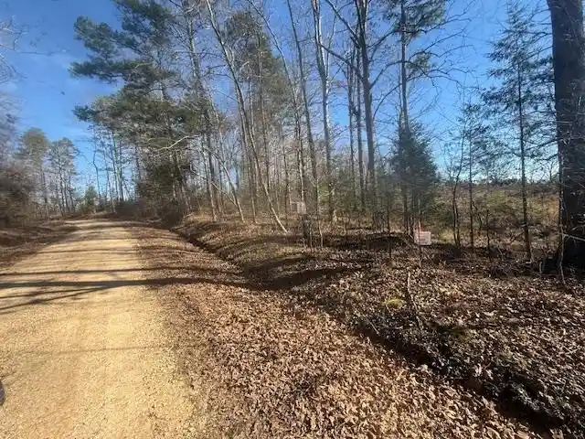4th image of Tract 5 George Walter Rd, Bolivar, TN 38008 | MLS# 10229000