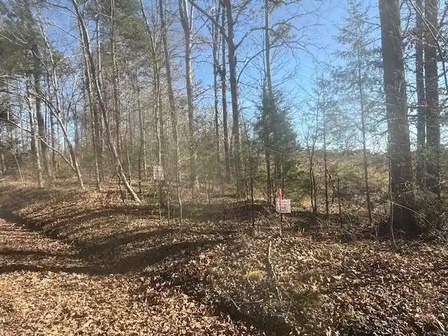 5th image of Tract 5 George Walter Rd, Bolivar, TN 38008 | MLS# 10229000