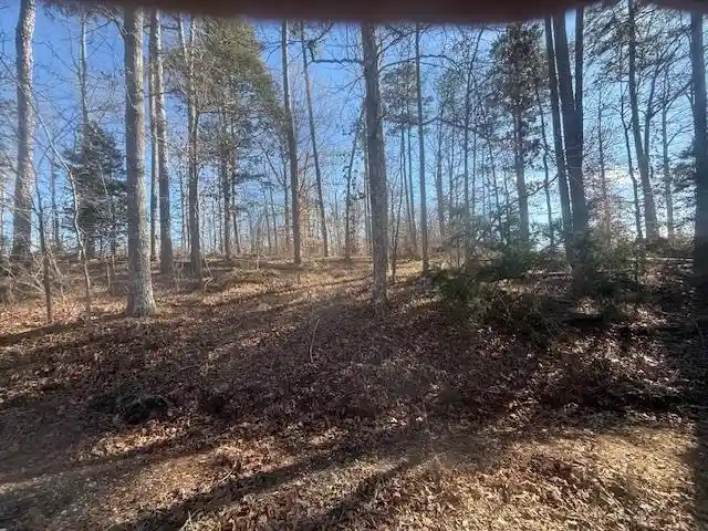 13th image of Tract 5 George Walter Rd, Bolivar, TN 38008 | MLS# 10229000