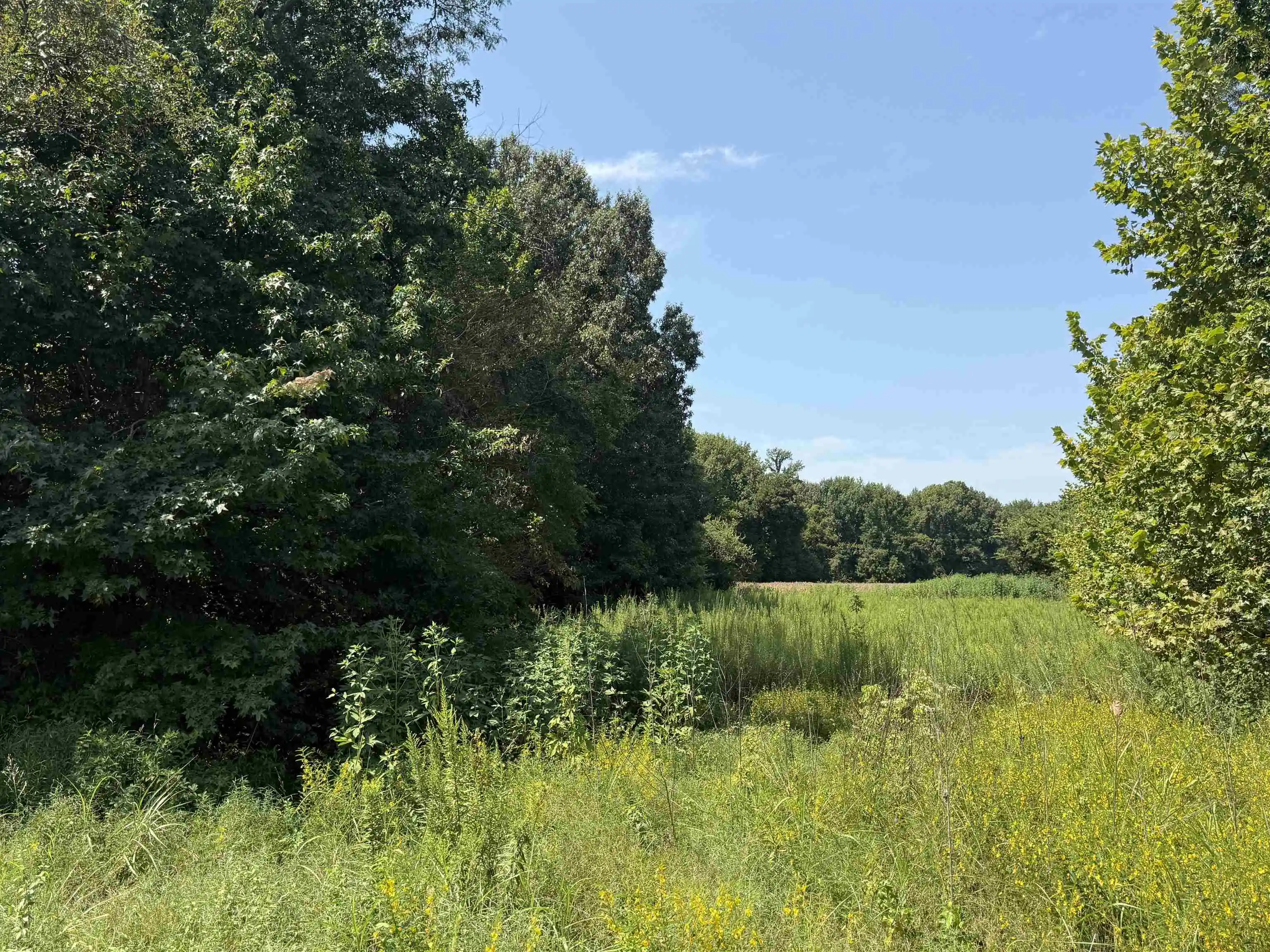 1st image of 0 Crad Baskin Dr, Burlison, TN 38015 | MLS# 10229056