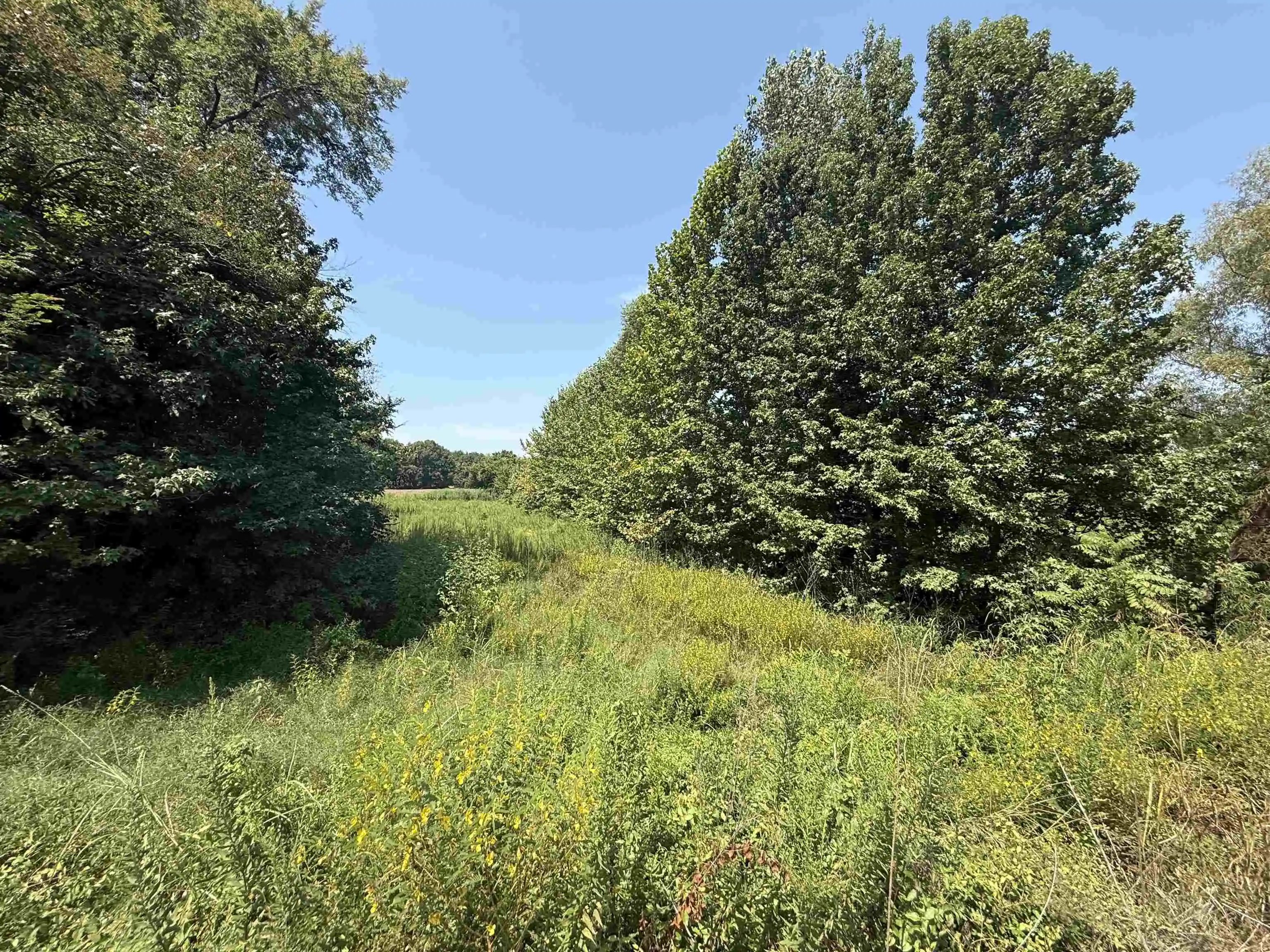 3rd image of 0 Crad Baskin Dr, Burlison, TN 38015 | MLS# 10229056