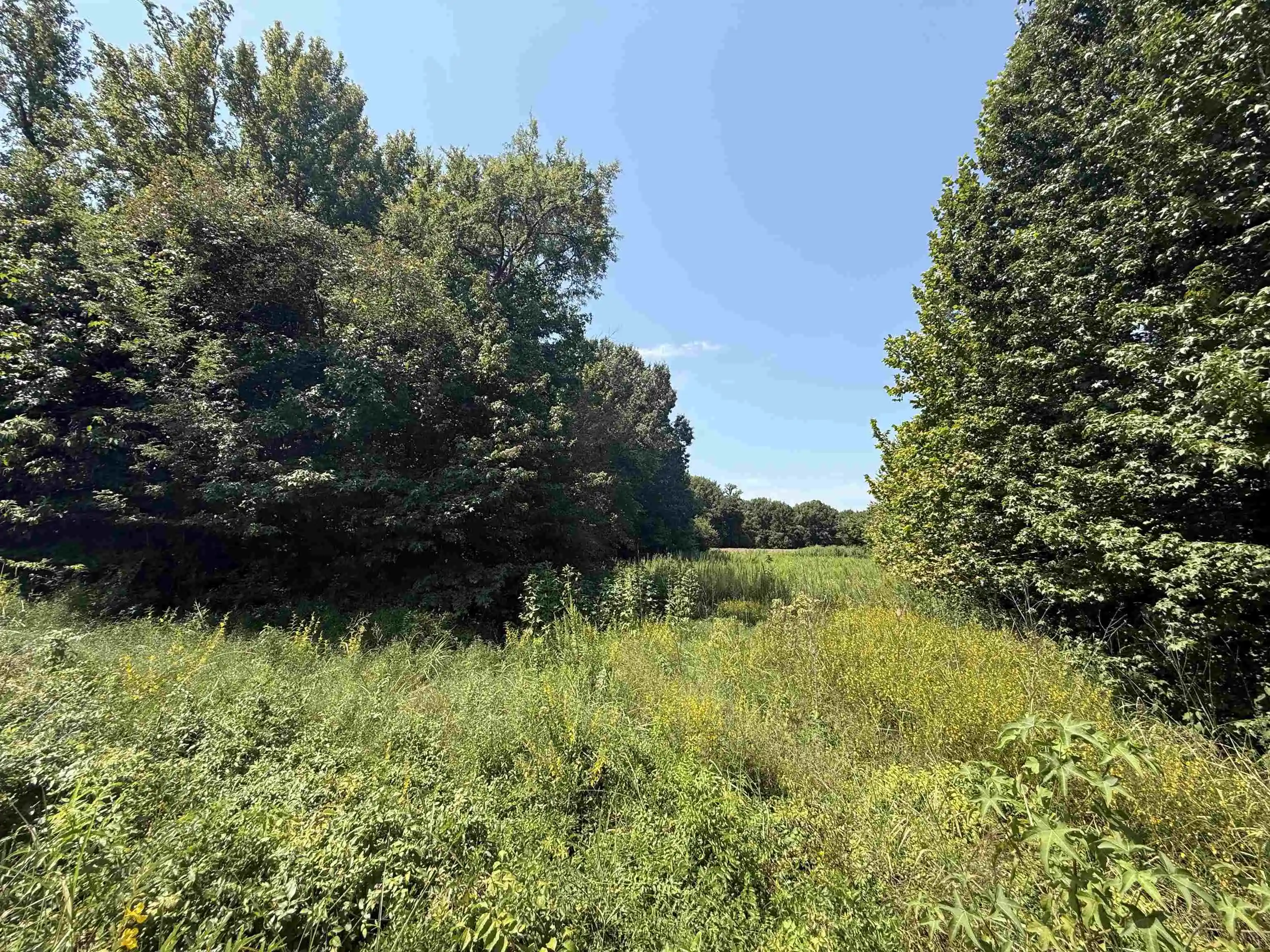 4th image of 0 Crad Baskin Dr, Burlison, TN 38015 | MLS# 10229056