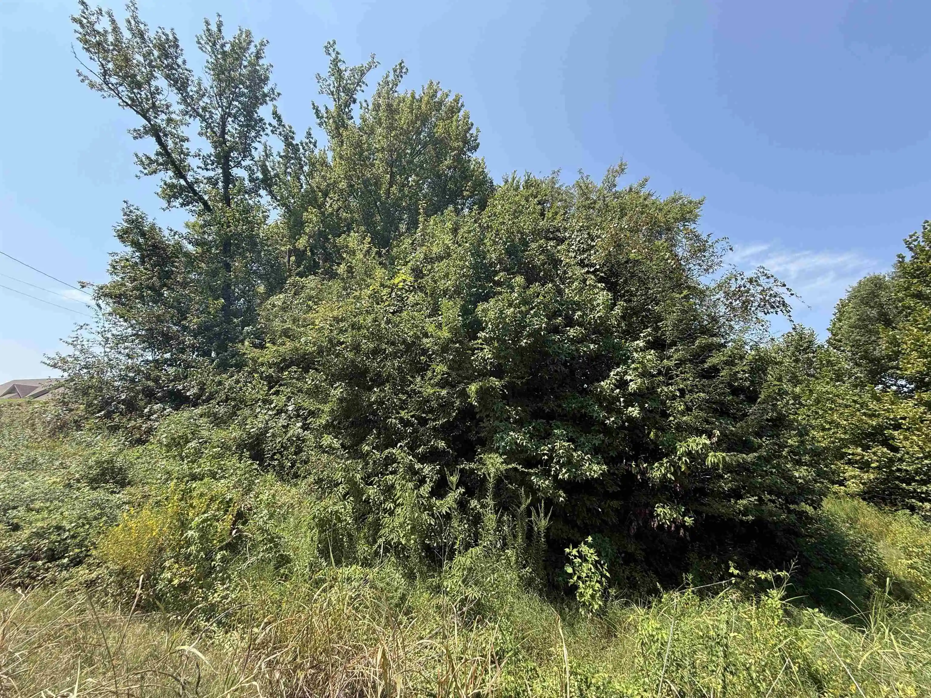 5th image of 0 Crad Baskin Dr, Burlison, TN 38015 | MLS# 10229056