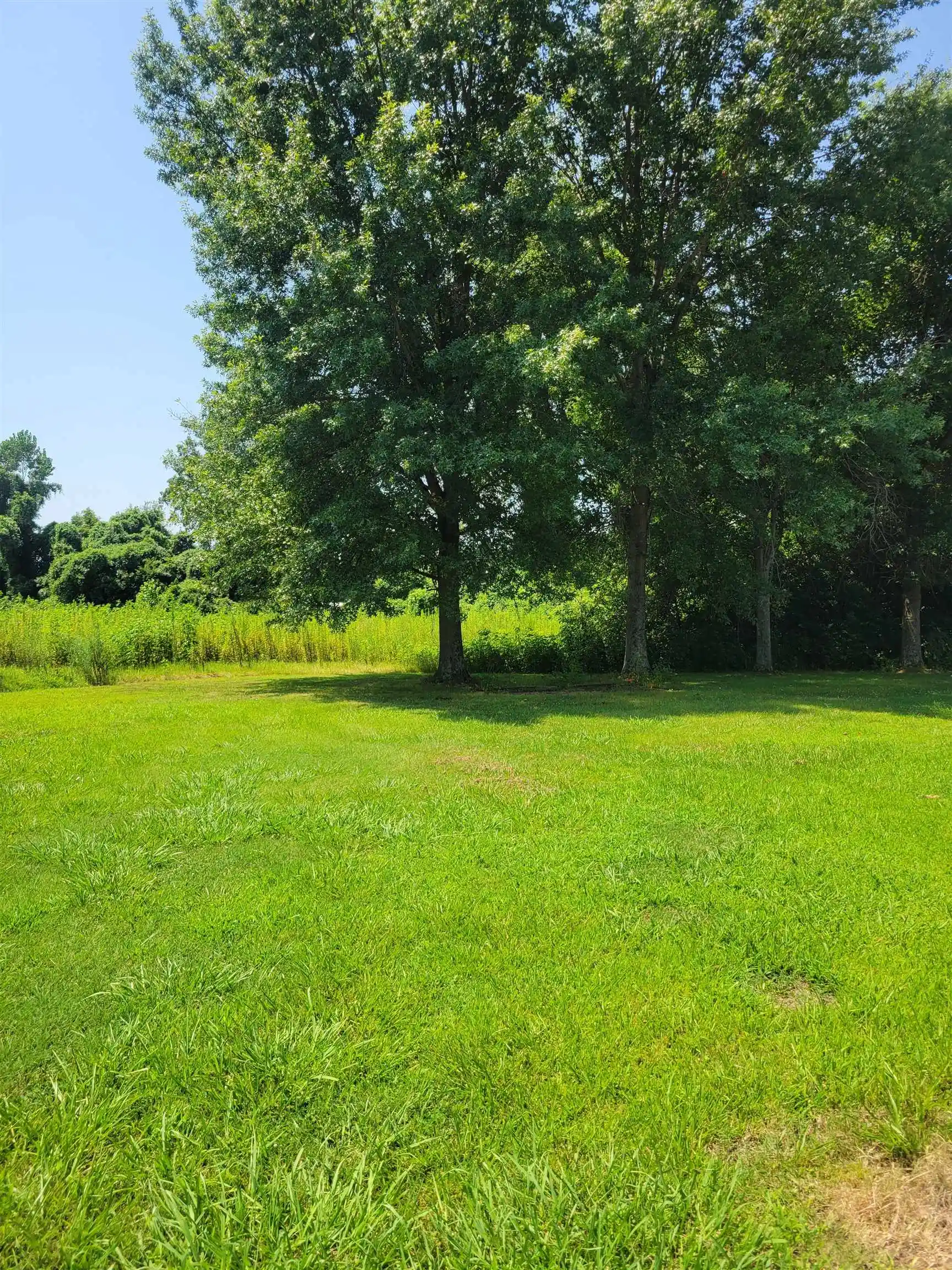 Photo 1 of Land for sale at 140 Halliburton Ave, Ripley, TN 38063 | MLS# 10229093 | Listing updated on 2026-09-01