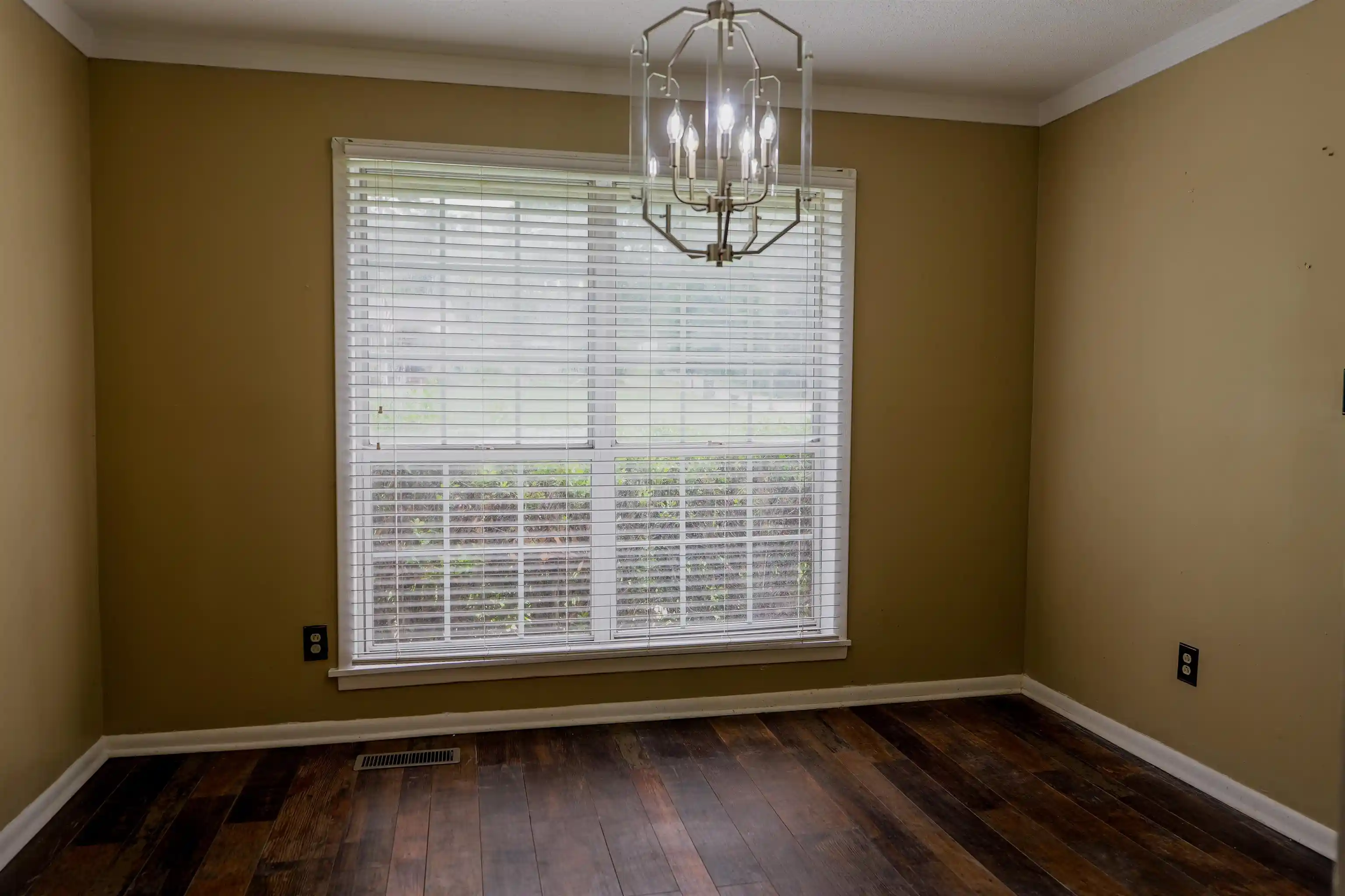 Photo 4 of Single family home for sale at 257 Anthony St, Ripley, TN 38063 | MLS# 10229169 | Listing updated on 2026-08-26